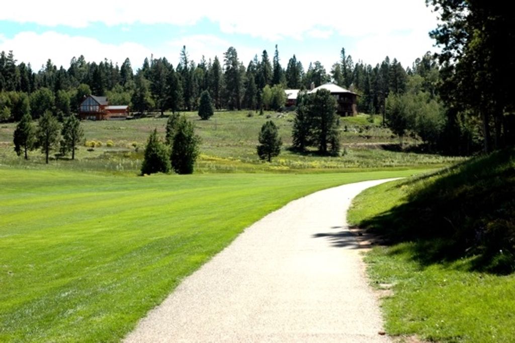 Photo of Lot 1032 Woodlands Dr, Angel Fire, NM 87710 (MLS # 113714)