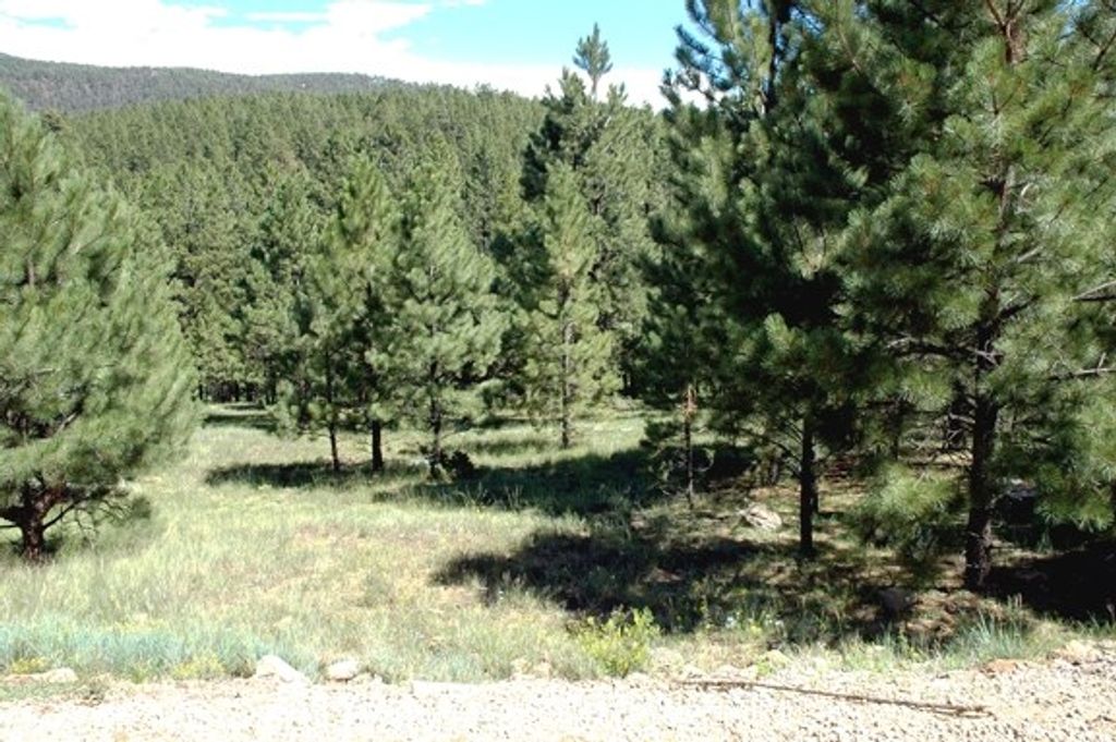 Photo of Lot 1032 Woodlands Dr, Angel Fire, NM 87710 (MLS # 113714)