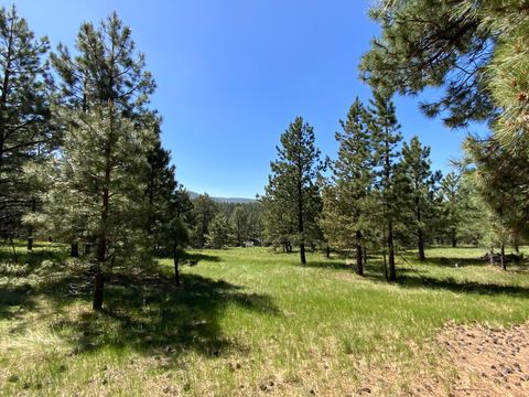 Photo of Lot 1268 Torrey Pines, Angel Fire, NM 87710 (MLS # 113509)