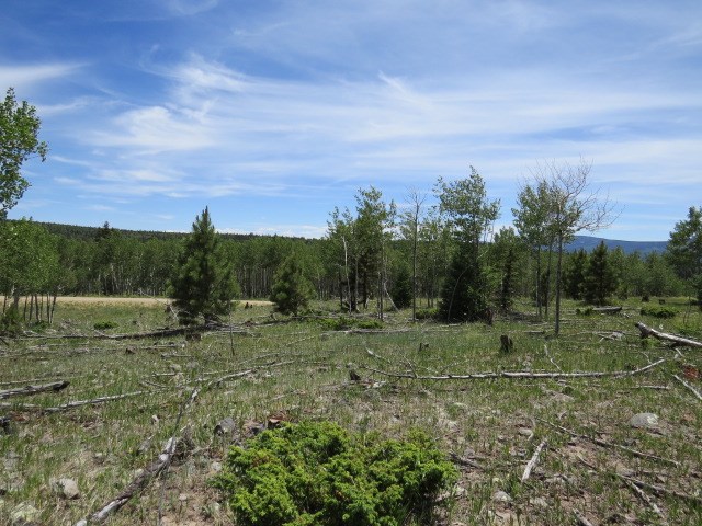 TBD Beaver Loop Lot 150 Drive, Angel Fire, Florida image 13