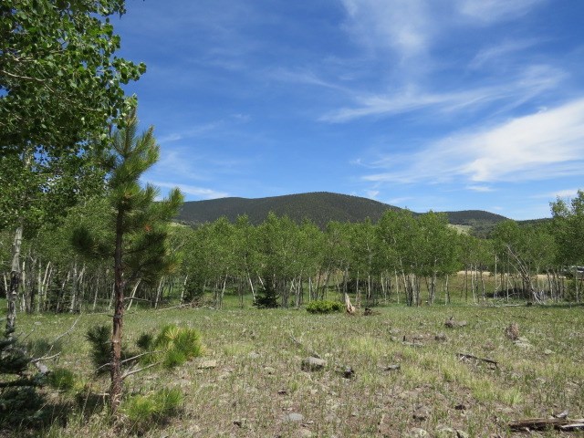 TBD Beaver Loop Lot 150 Drive, Angel Fire, Florida image 16