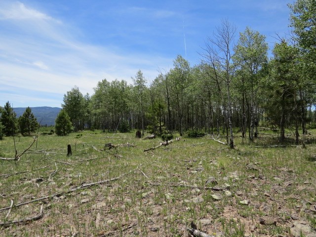 TBD Beaver Loop Lot 150 Drive, Angel Fire, Florida image 15