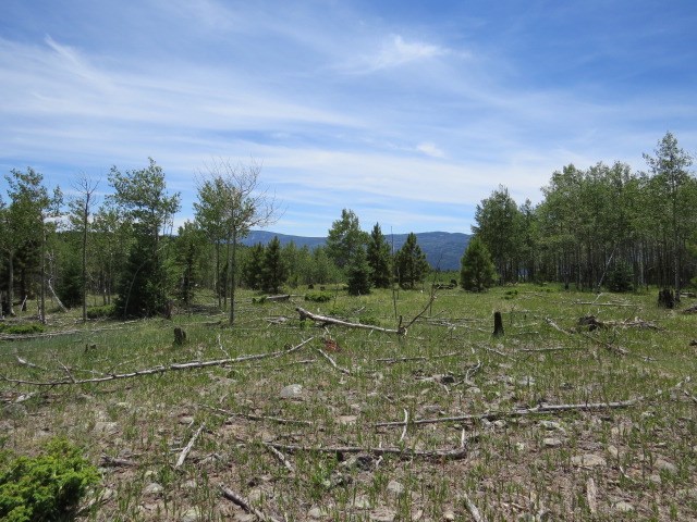 TBD Beaver Loop Lot 150 Drive, Angel Fire, Florida image 14