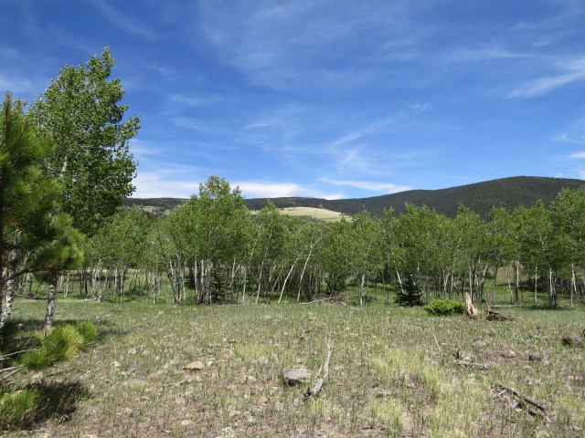 TBD Beaver Loop Lot 150 Drive, Angel Fire, Florida image 17