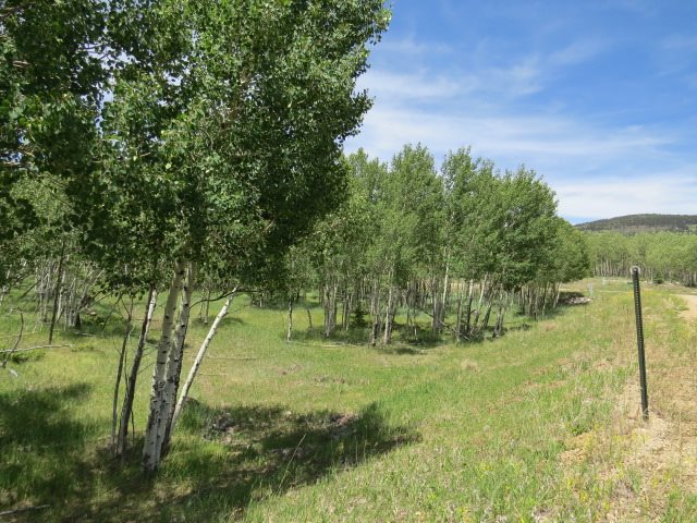 TBD Beaver Loop Lot 150 Drive, Angel Fire, Florida image 7