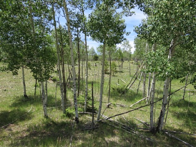 TBD Beaver Loop Lot 150 Drive, Angel Fire, Florida image 5