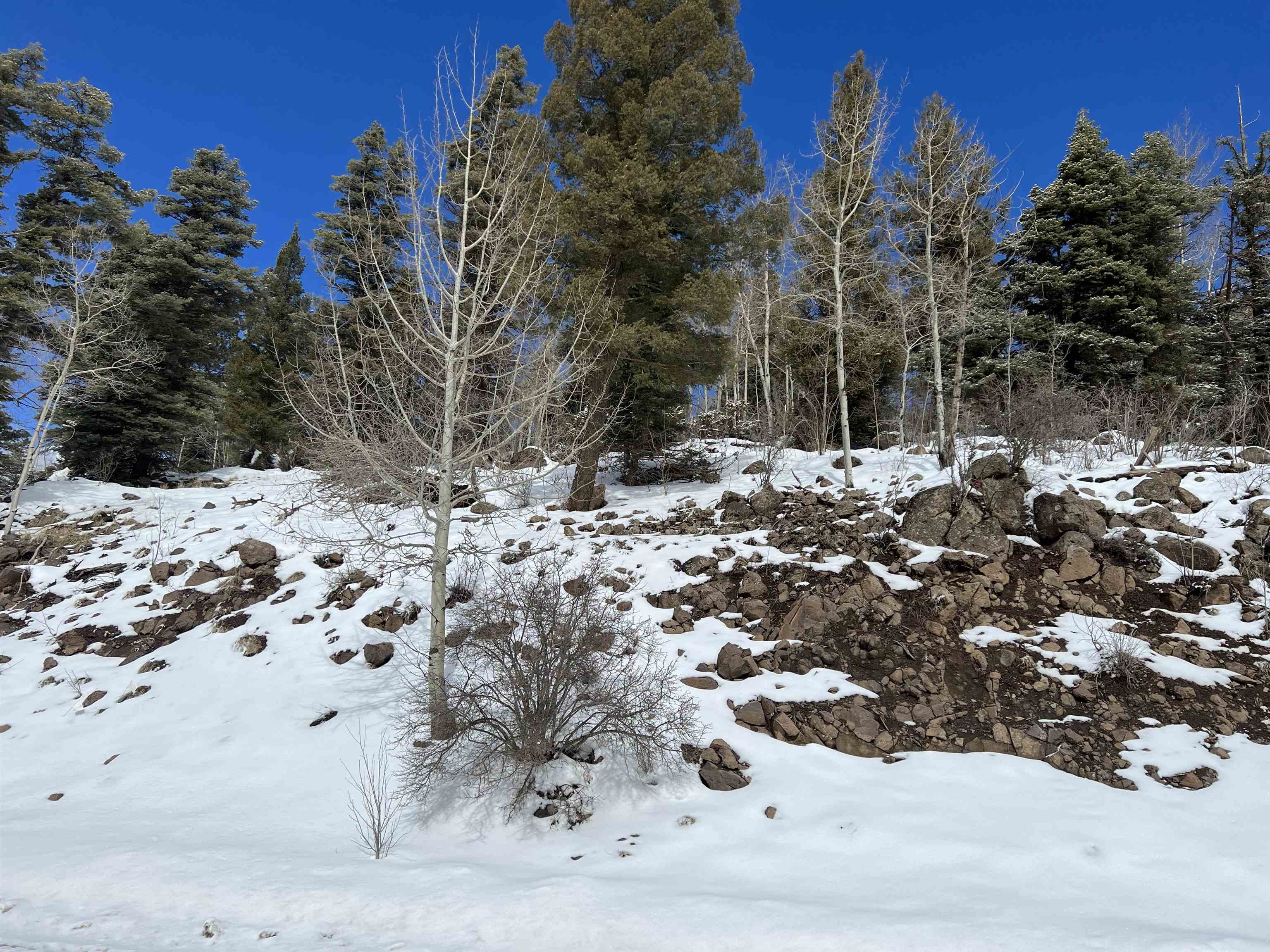 Lot 1124 El Camino Real, Angel Fire, New Mexico image 1