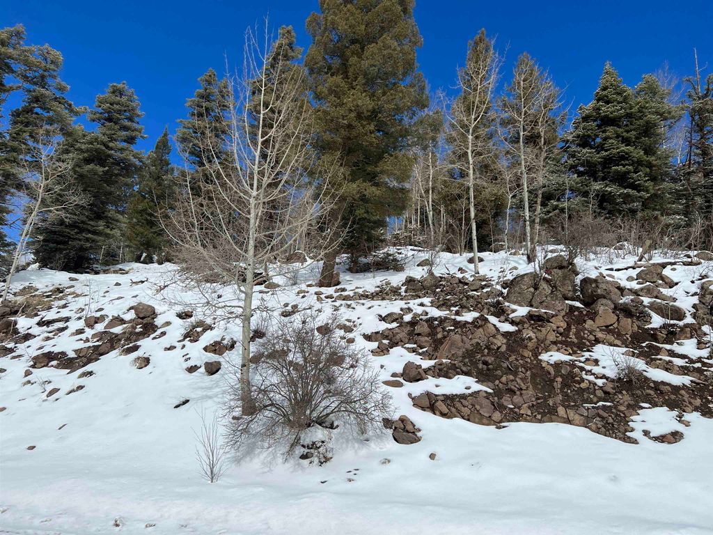 Photo of Lot 1124 El Camino Real, Angel Fire, NM 87710 (MLS # 109984)