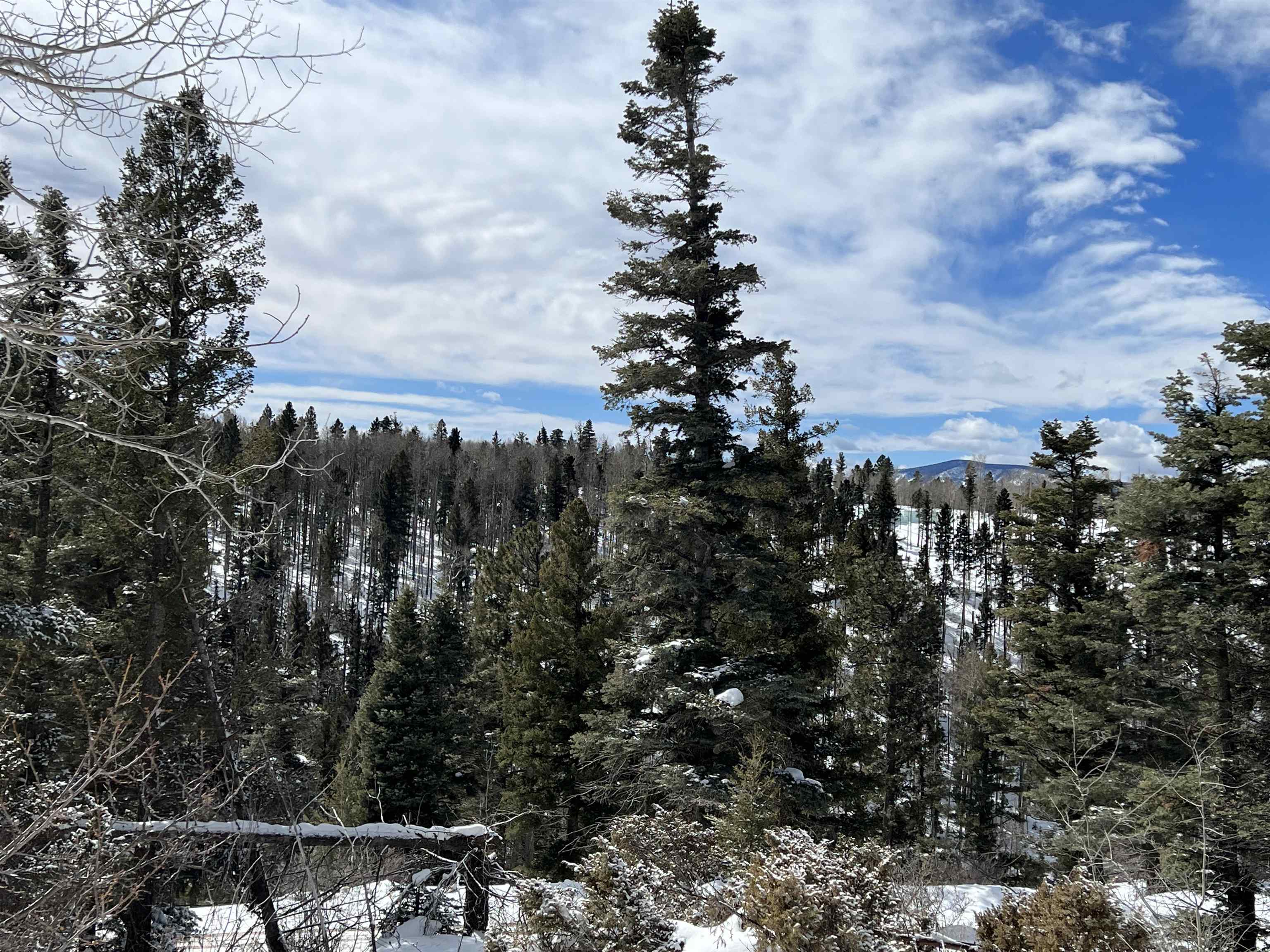 Lot 1124 El Camino Real, Angel Fire, New Mexico image 9