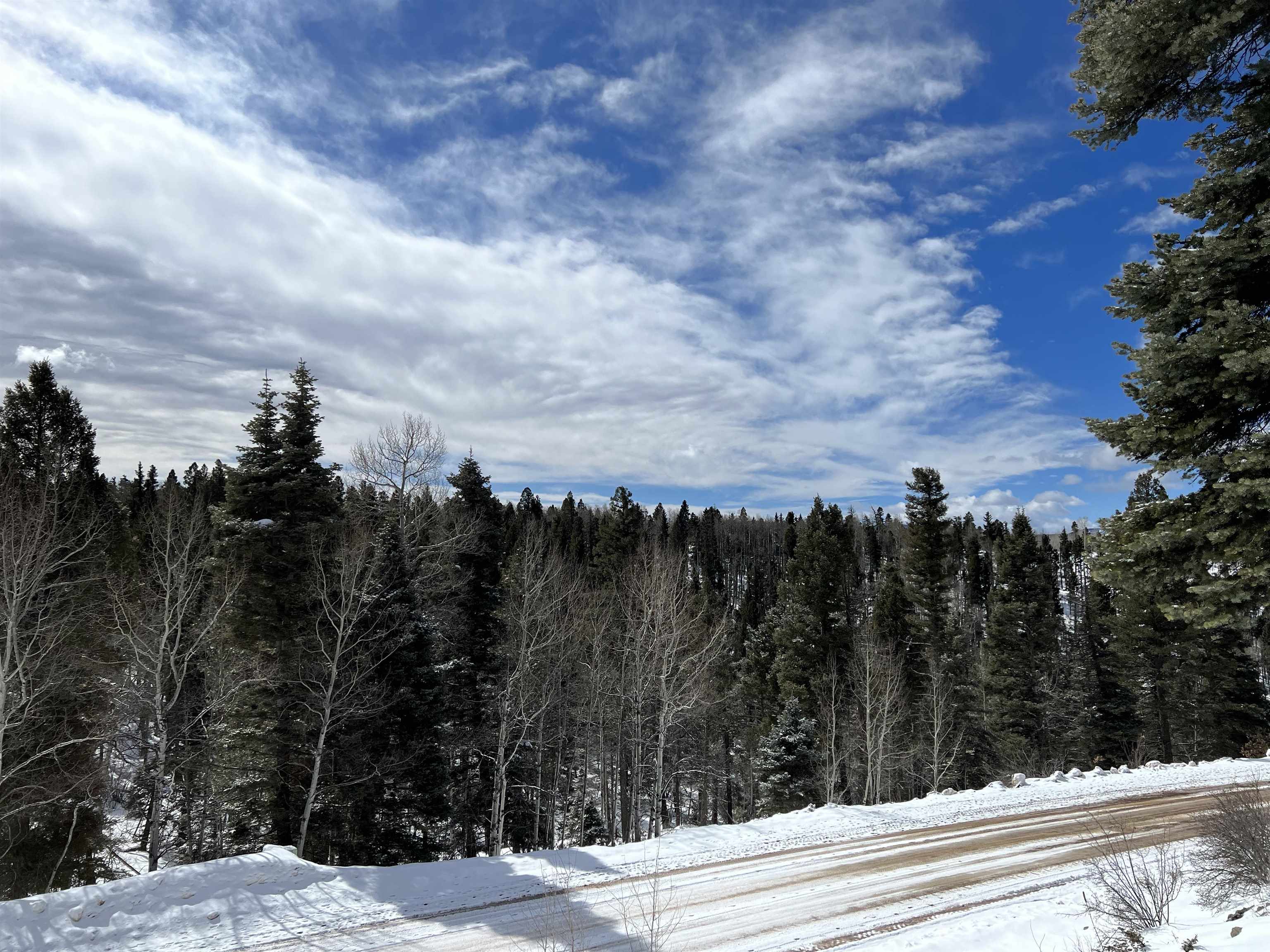 Lot 1124 El Camino Real, Angel Fire, New Mexico image 6