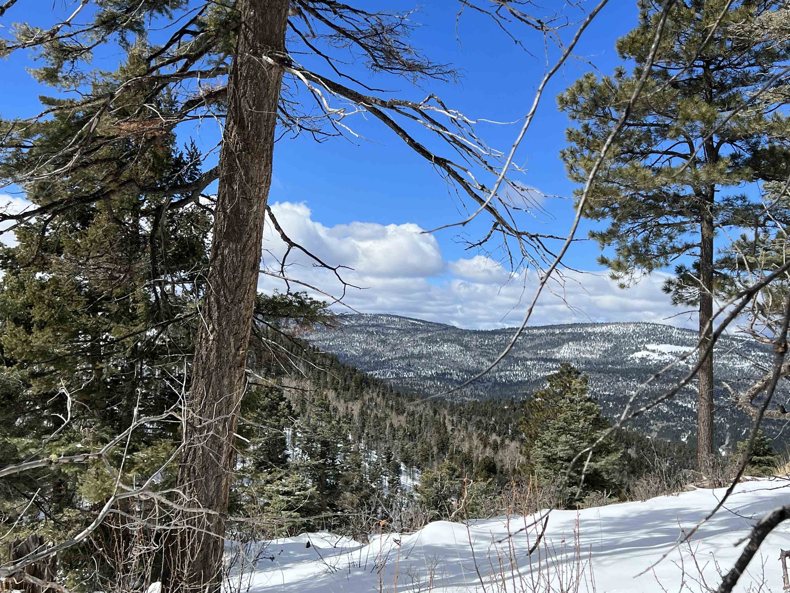 Lot 1124 El Camino Real, Angel Fire, New Mexico image 10