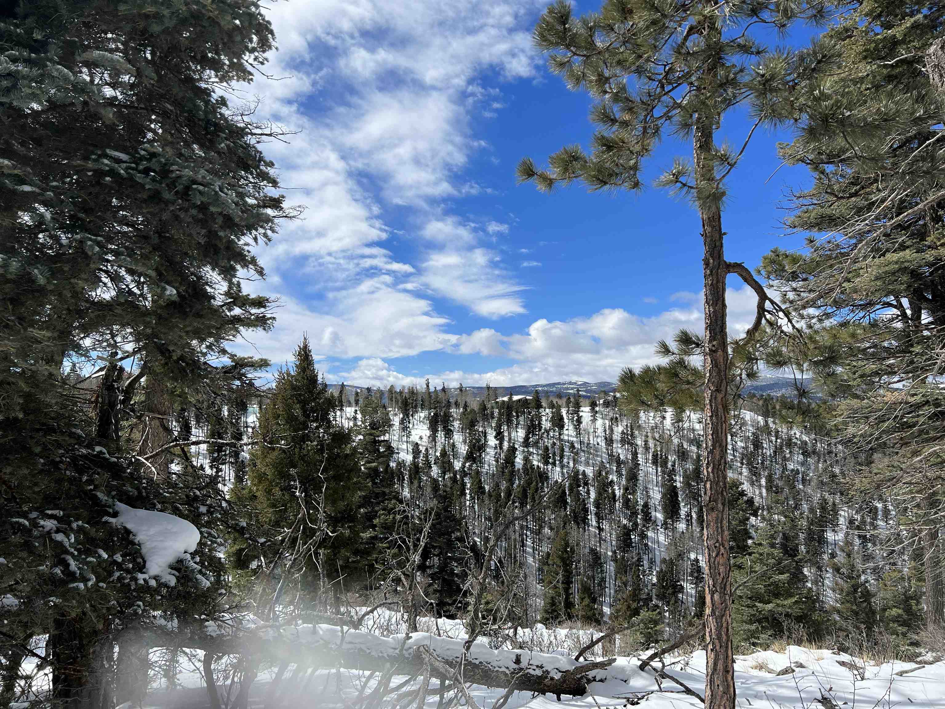 Lot 1124 El Camino Real, Angel Fire, New Mexico image 11