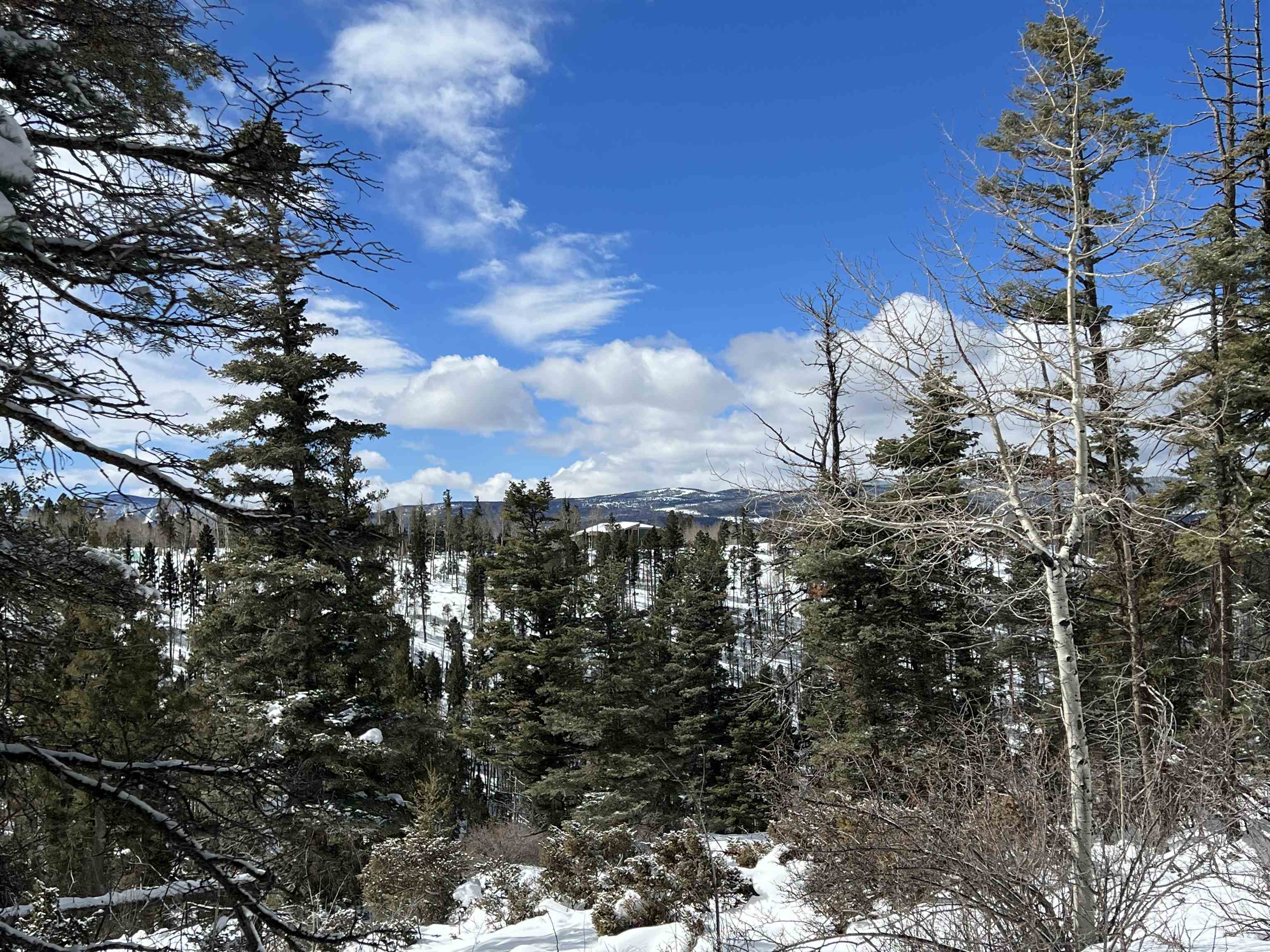 Lot 1124 El Camino Real, Angel Fire, New Mexico image 8