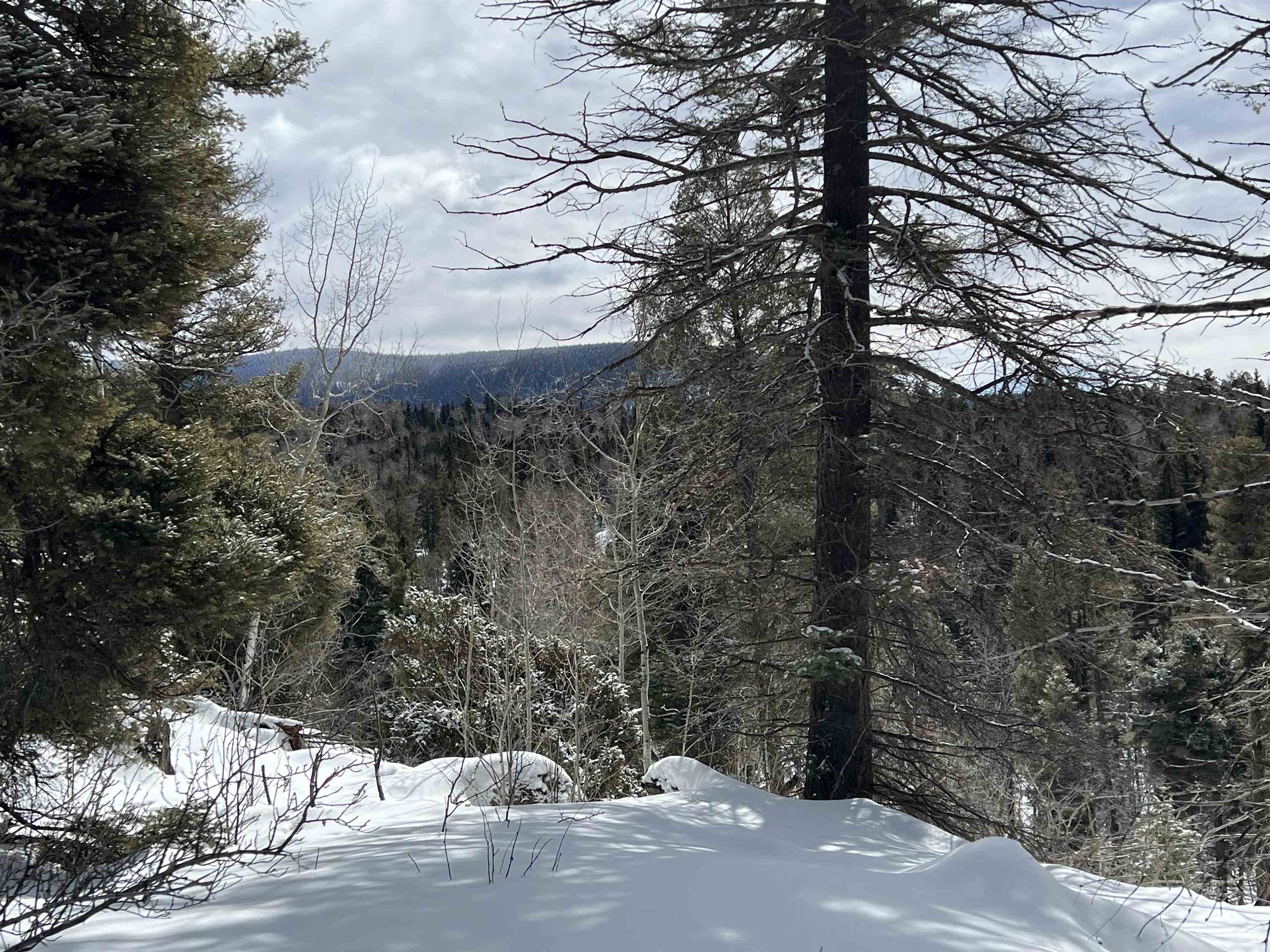 Lot 1124 El Camino Real, Angel Fire, New Mexico image 7