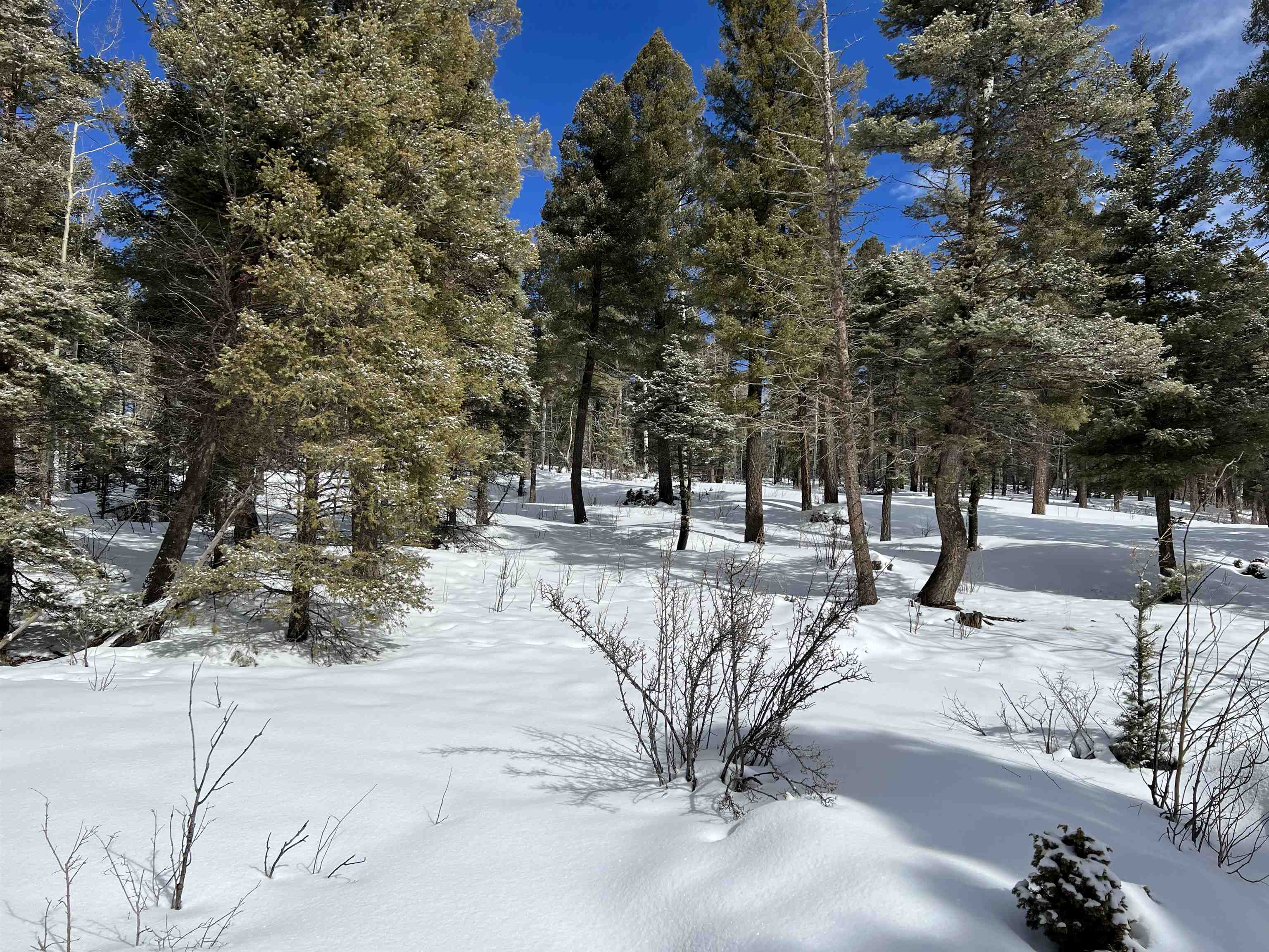 Lot 1124 El Camino Real, Angel Fire, New Mexico image 4