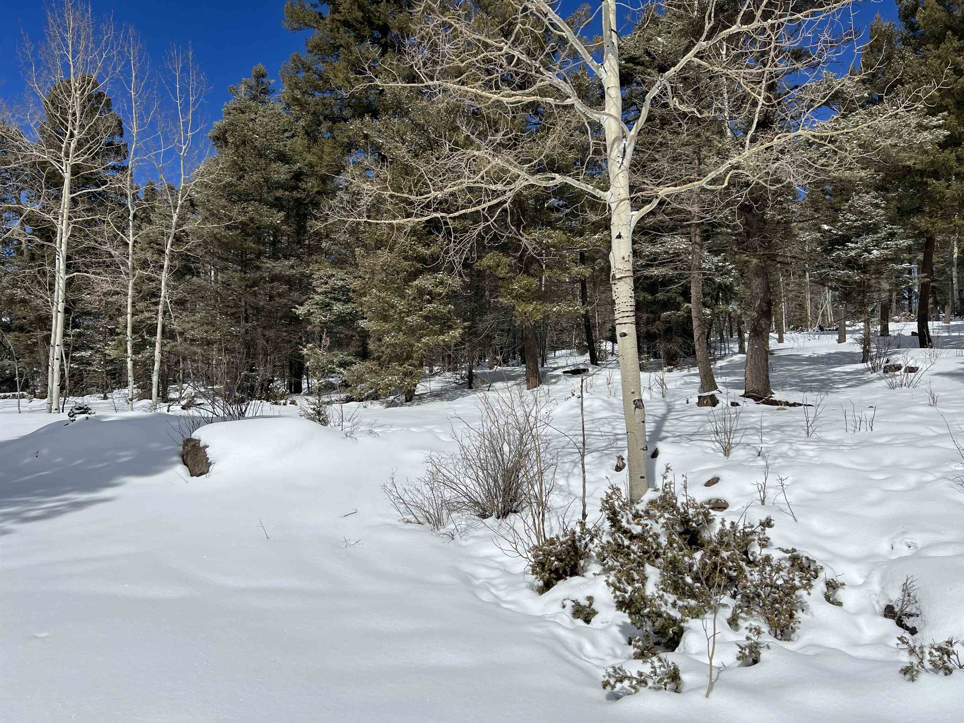 Lot 1124 El Camino Real, Angel Fire, New Mexico image 3