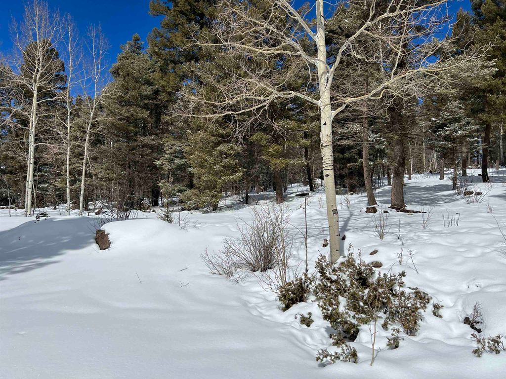 Photo of Lot 1124 El Camino Real, Angel Fire, NM 87710 (MLS # 109984)