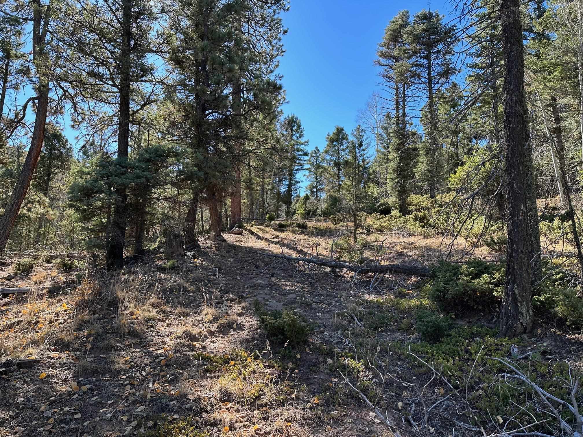Lot 261 S Vista Del Valle Drive, Angel Fire, New Mexico image 6