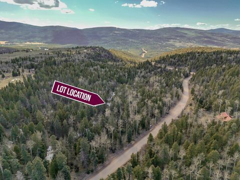 Vacant Land For Sale - 1004 AND 1005 El Camino Real<br/> Angel Fire, NM 87710