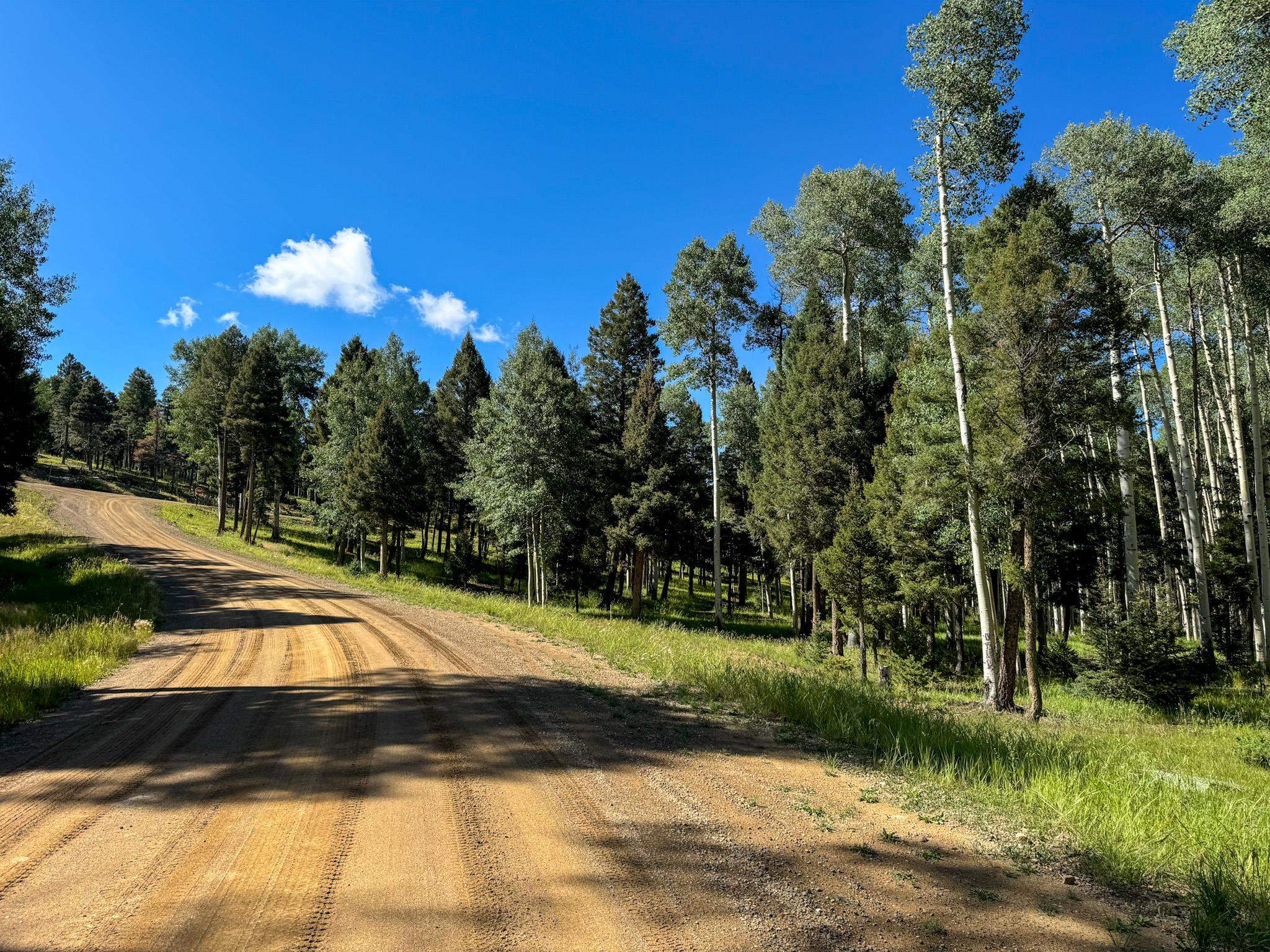Lot 80 Via De Maria, Angel Fire, New Mexico image 11