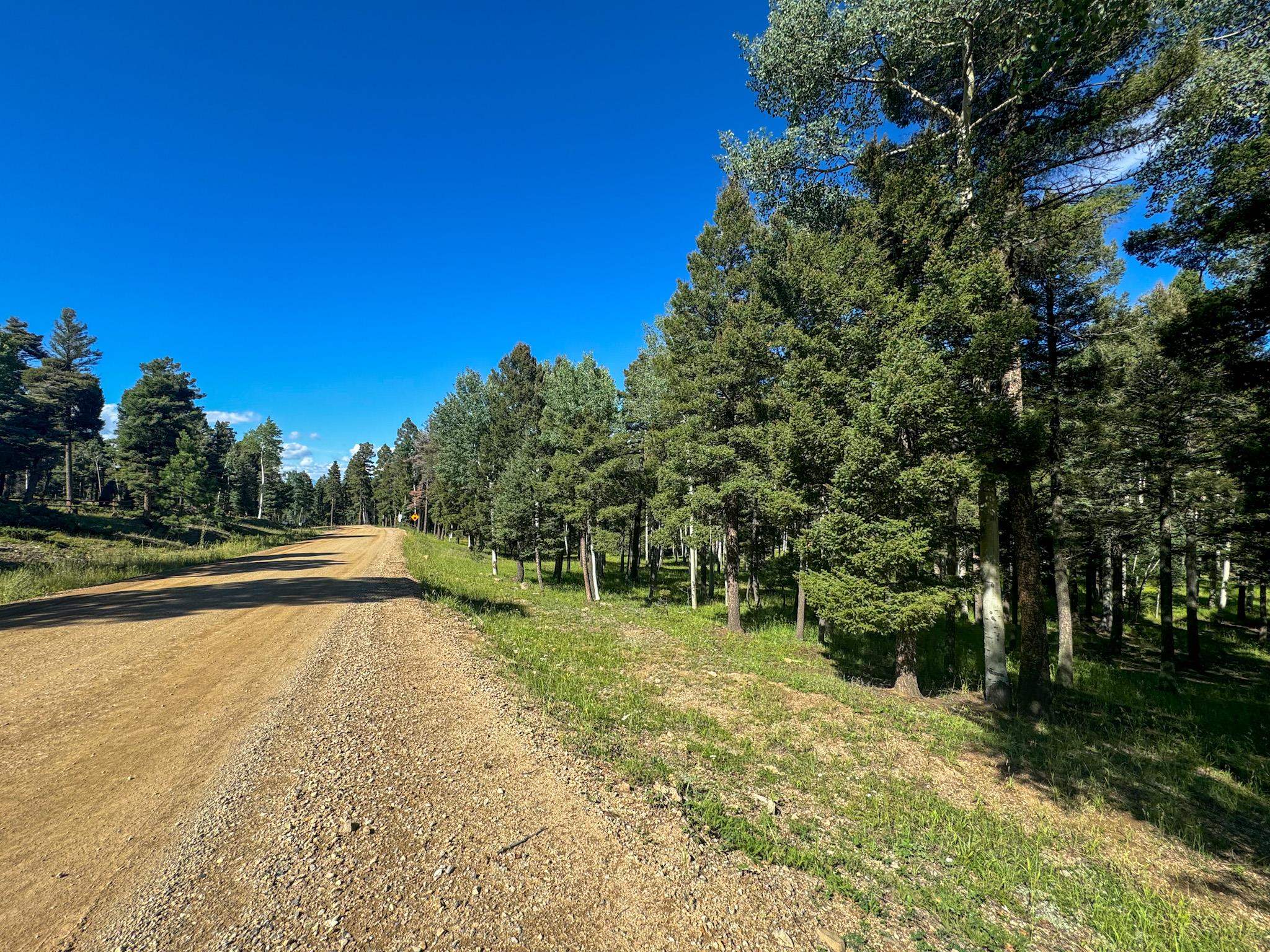 Lot 80 Via De Maria, Angel Fire, New Mexico image 16