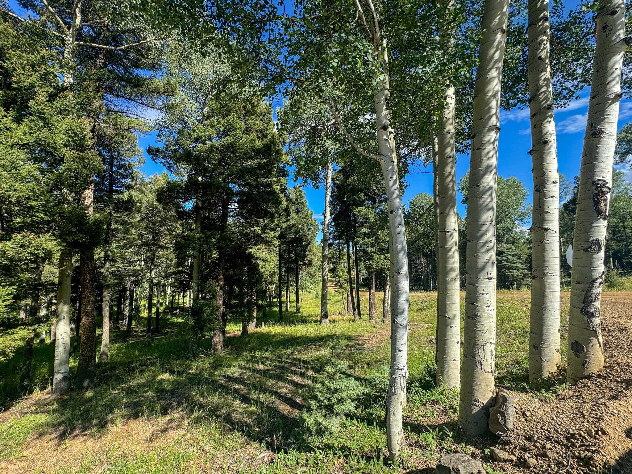 Lot 80 Via De Maria, Angel Fire, New Mexico image 19
