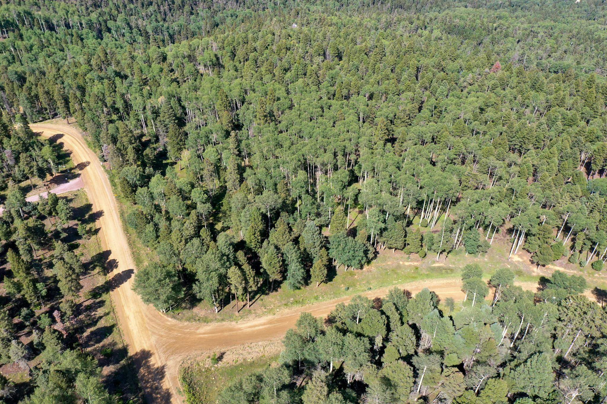 Lot 80 Via De Maria, Angel Fire, New Mexico image 2