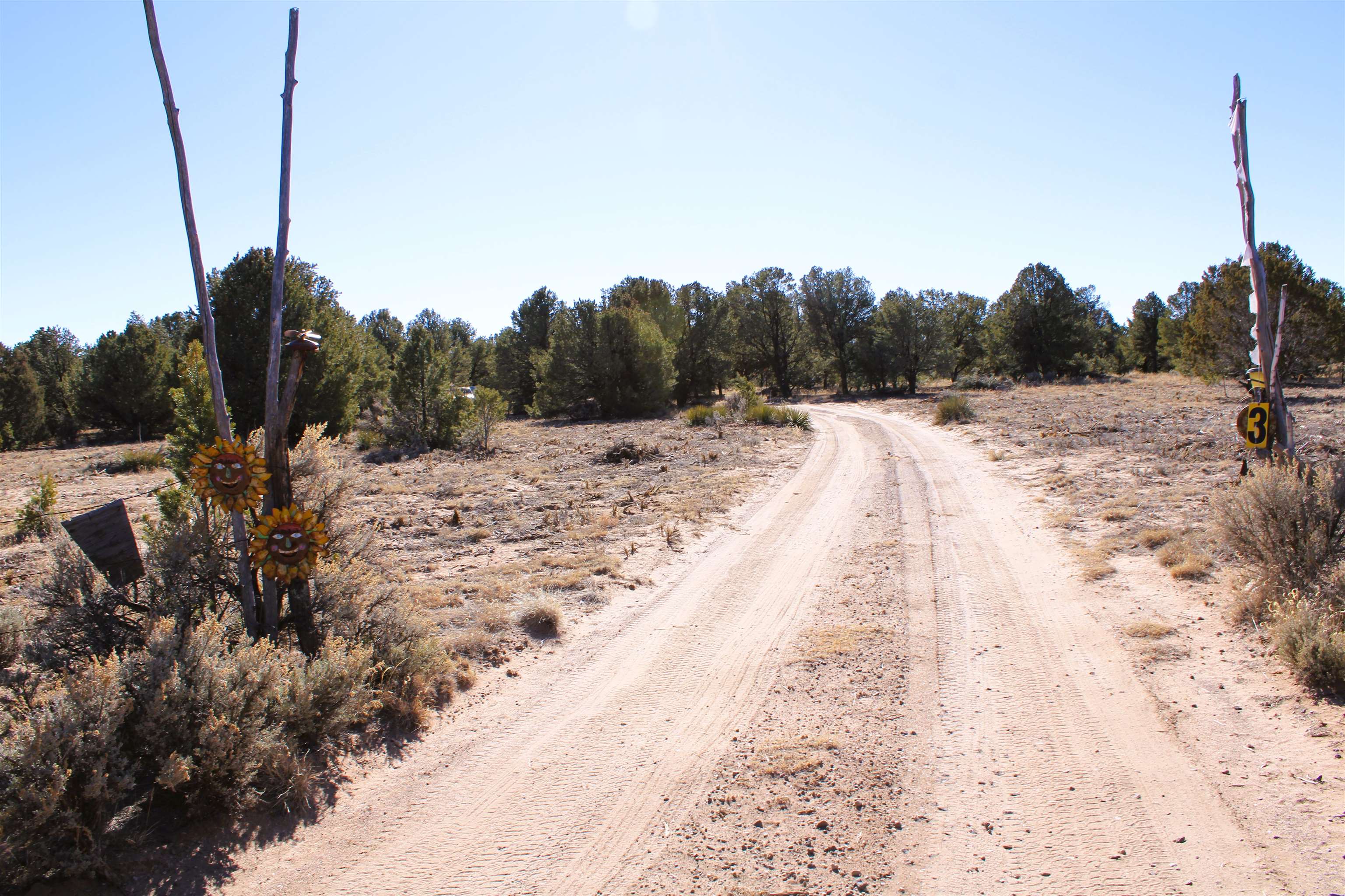 3 Columbine Rd, Carson, New Mexico image 40