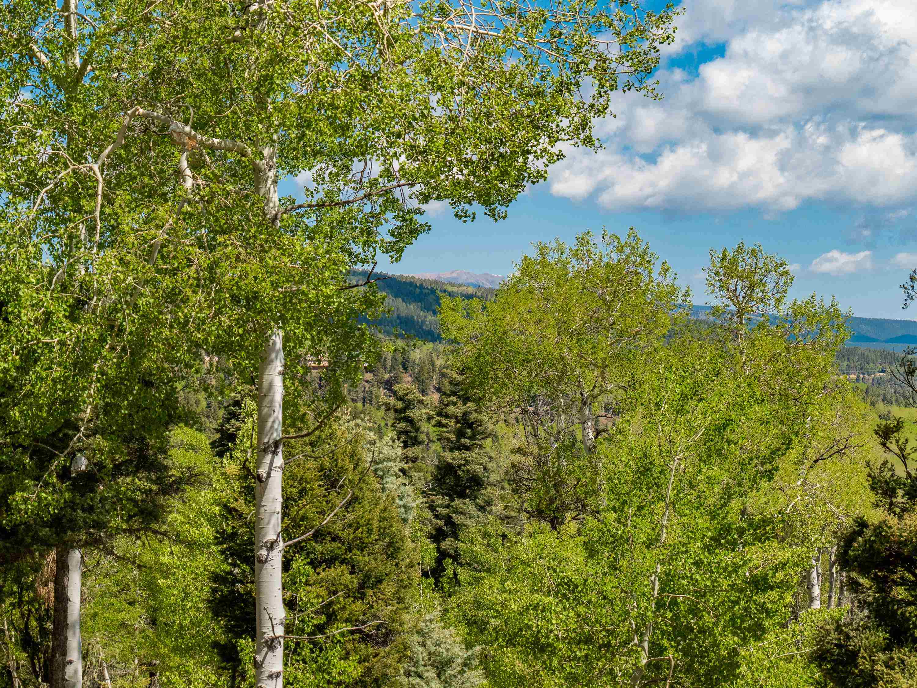 Angel Fire, New Mexico 87710, United States, 4 Bedrooms Bedrooms, ,3 BathroomsBathrooms,Residential,Pending,149737