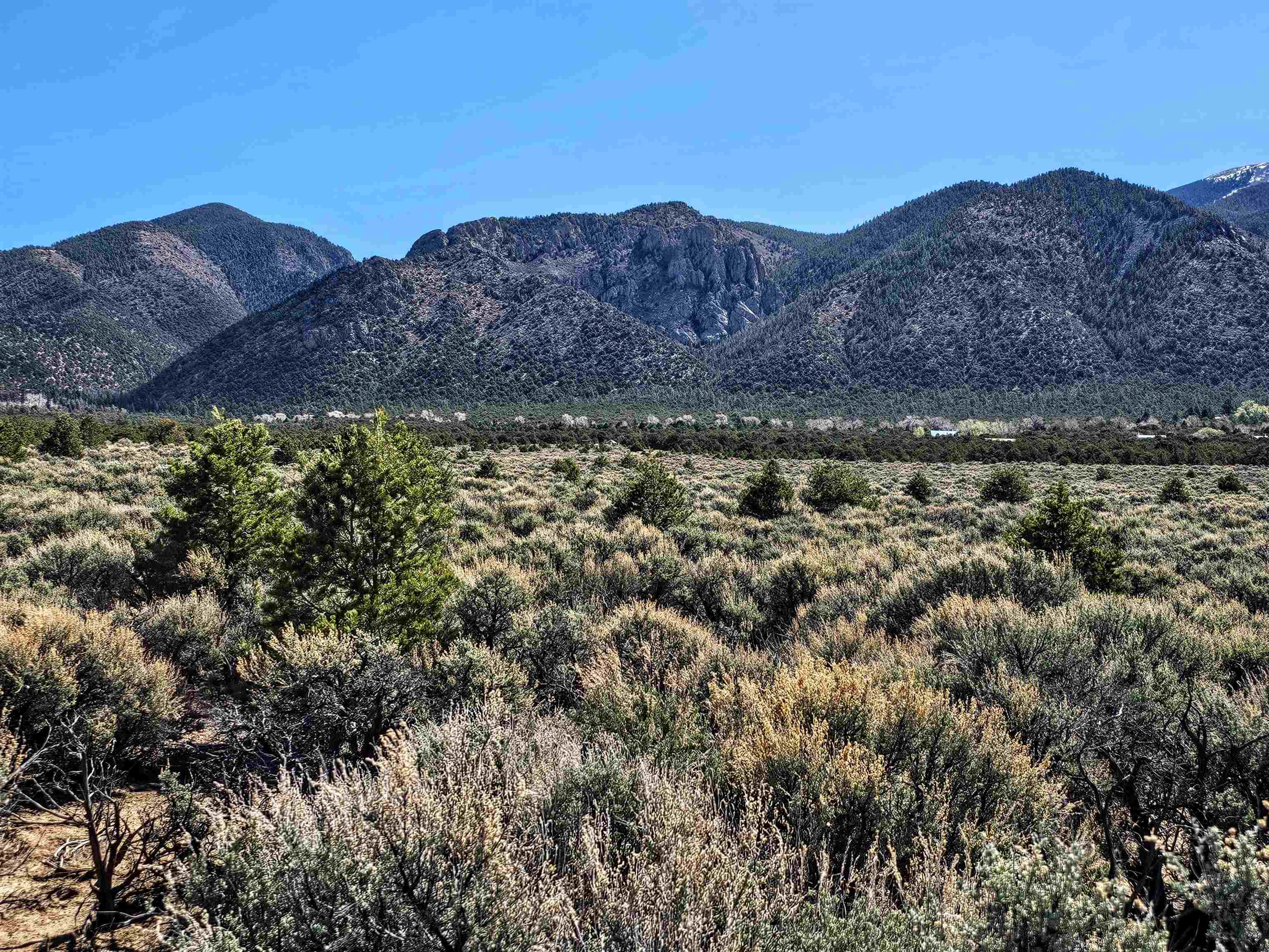 Tract C Quintana Rd, Questa, New Mexico image 1