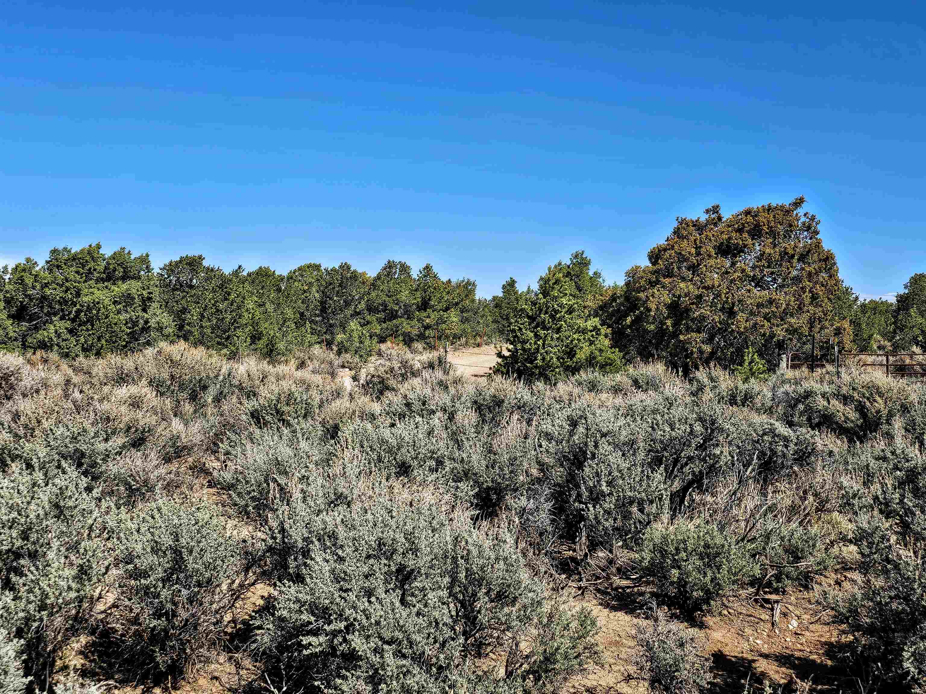 Tract C Quintana Rd, Questa, New Mexico image 8