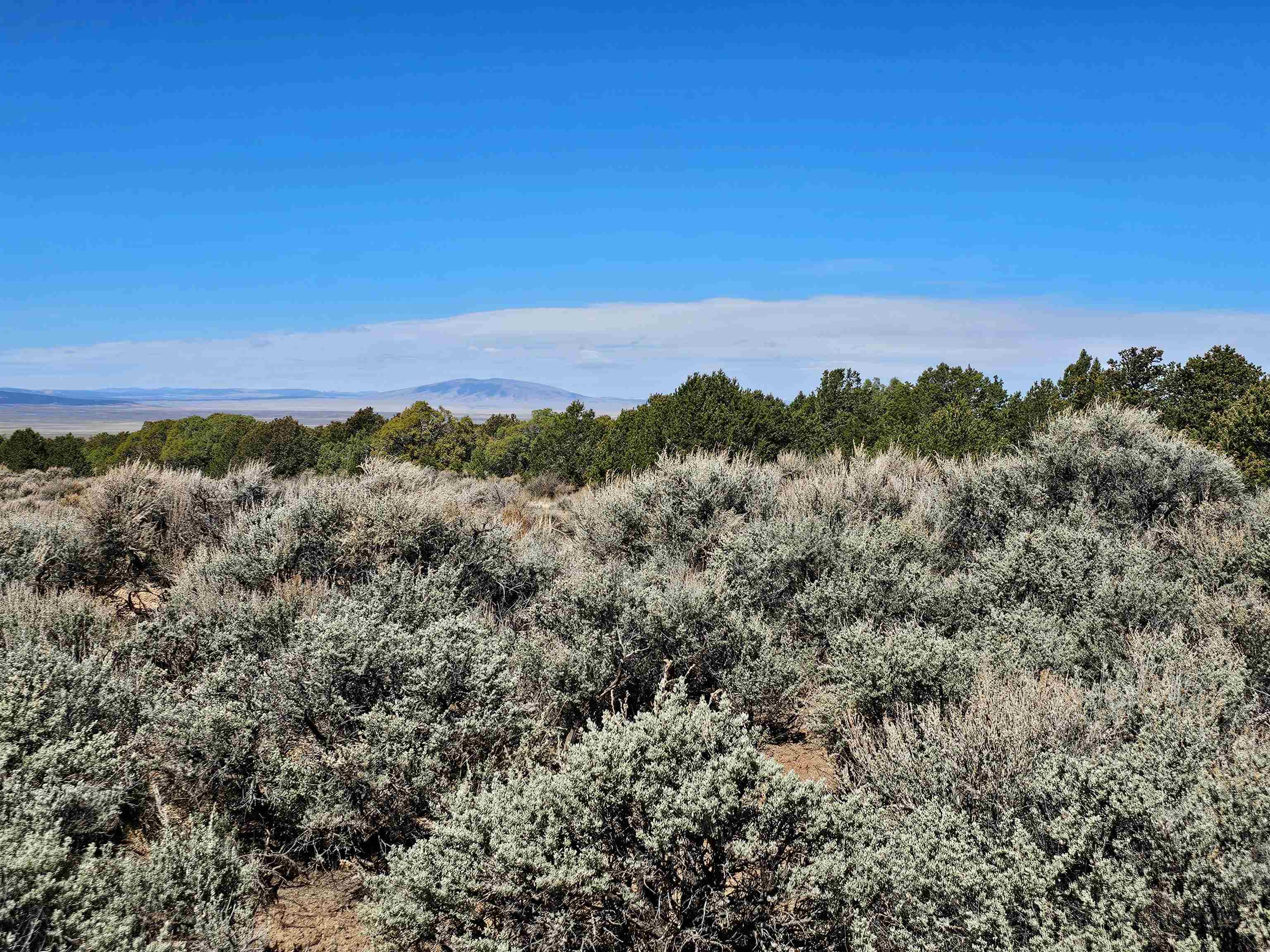 Tract C Quintana Rd, Questa, New Mexico image 9