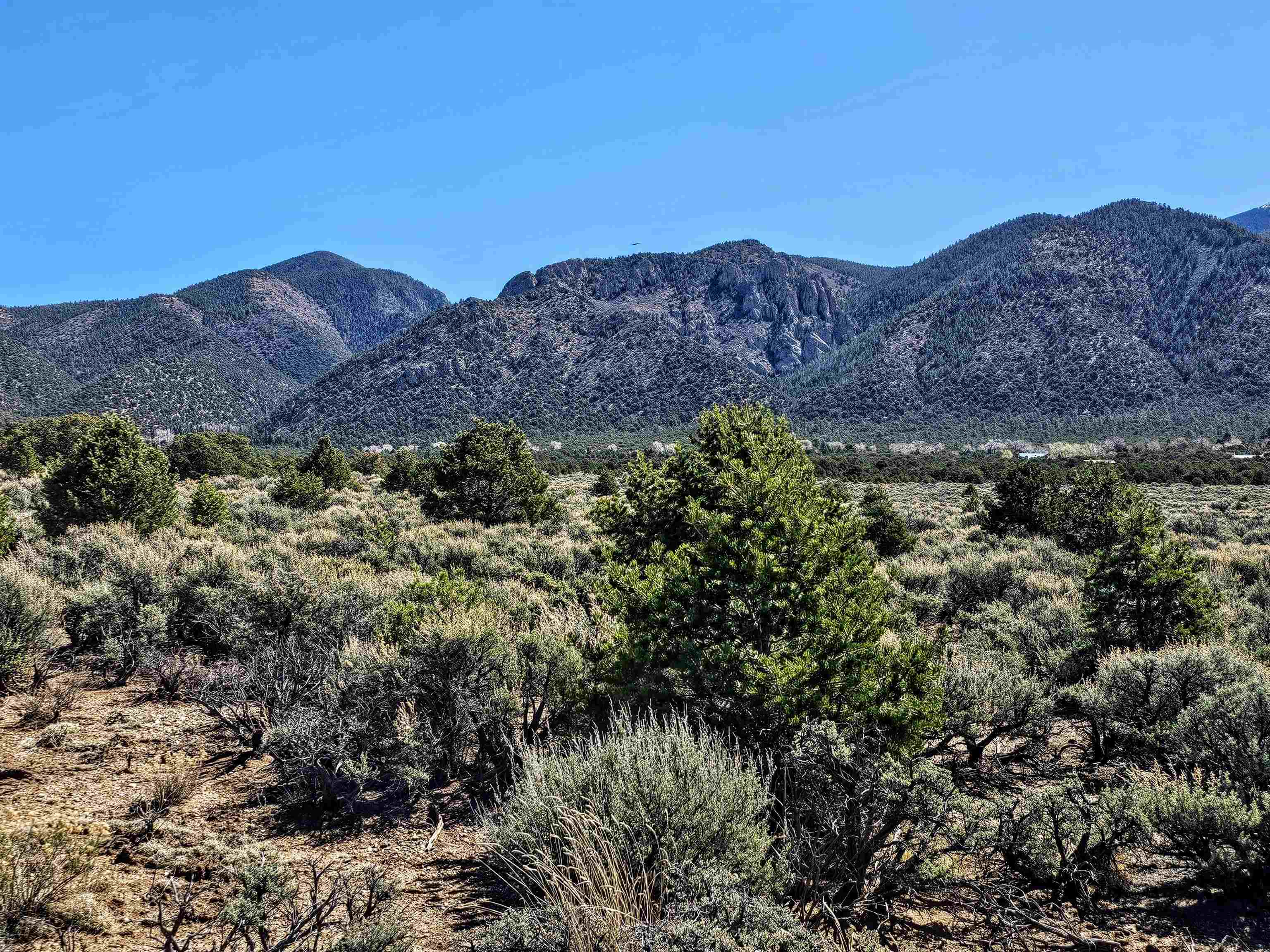Tract C Quintana Rd, Questa, New Mexico image 6
