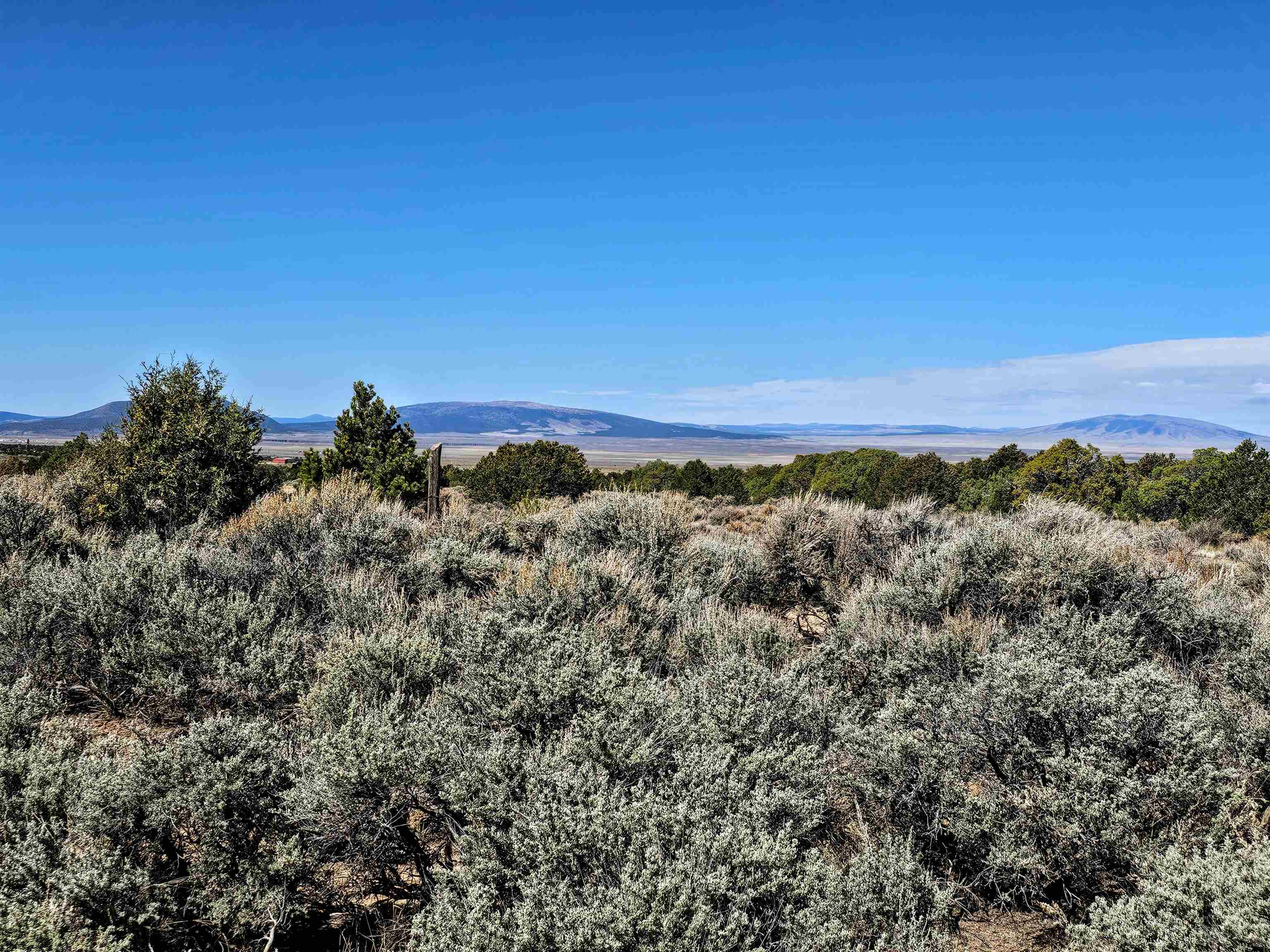 Tract C Quintana Rd, Questa, New Mexico image 10