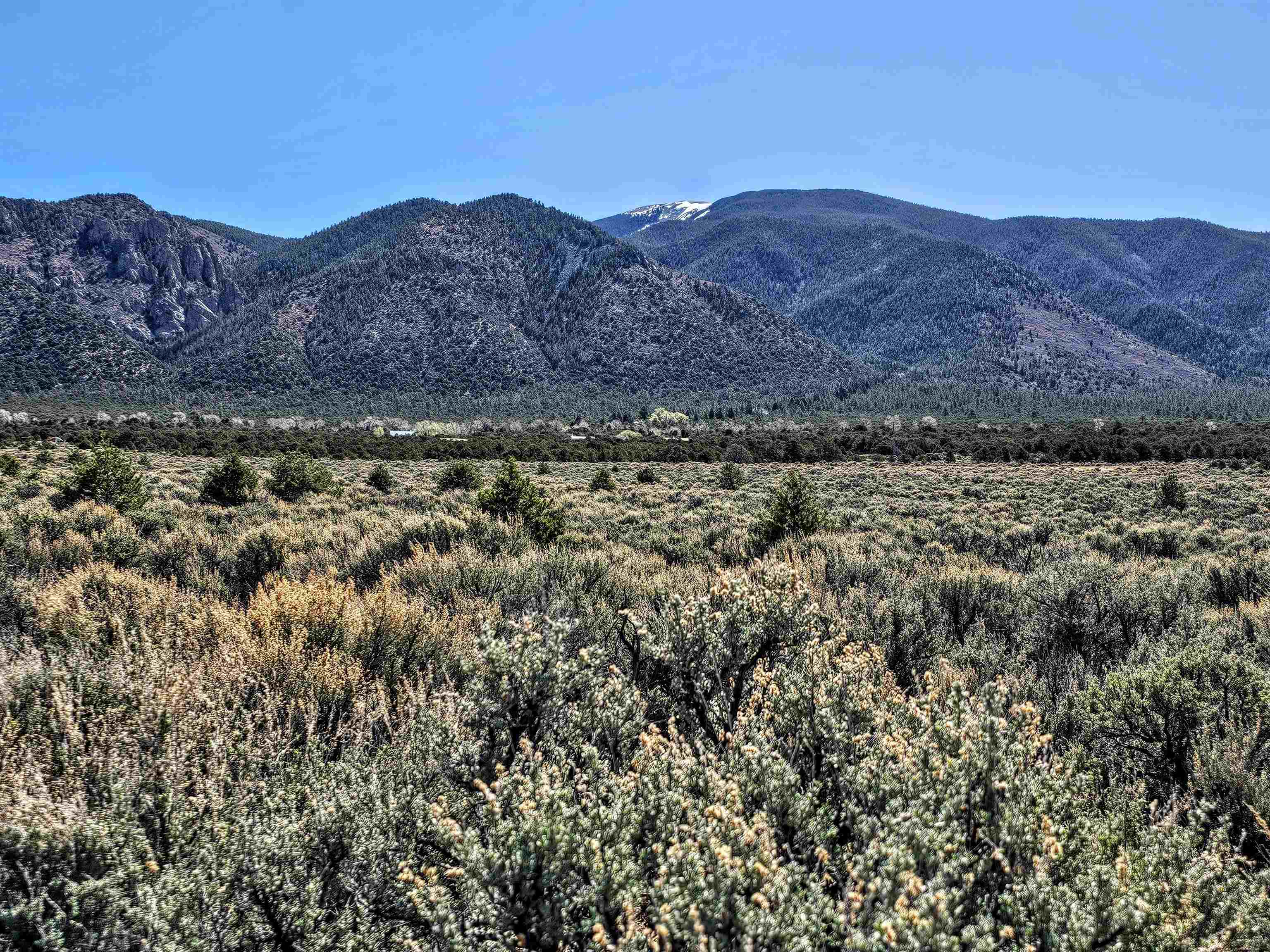 Tract C Quintana Rd, Questa, New Mexico image 15