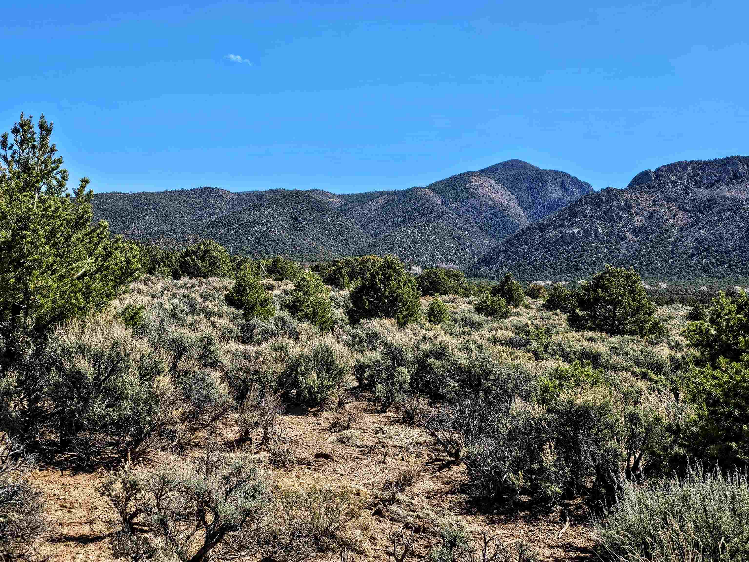 Tract C Quintana Rd, Questa, New Mexico image 7