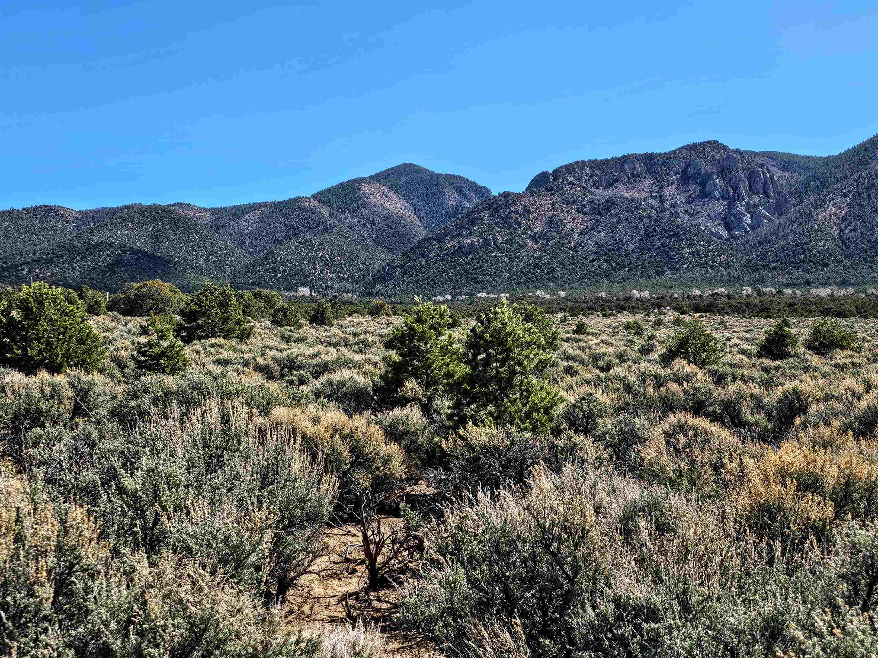 Tract C Quintana Rd, Questa, New Mexico image 14