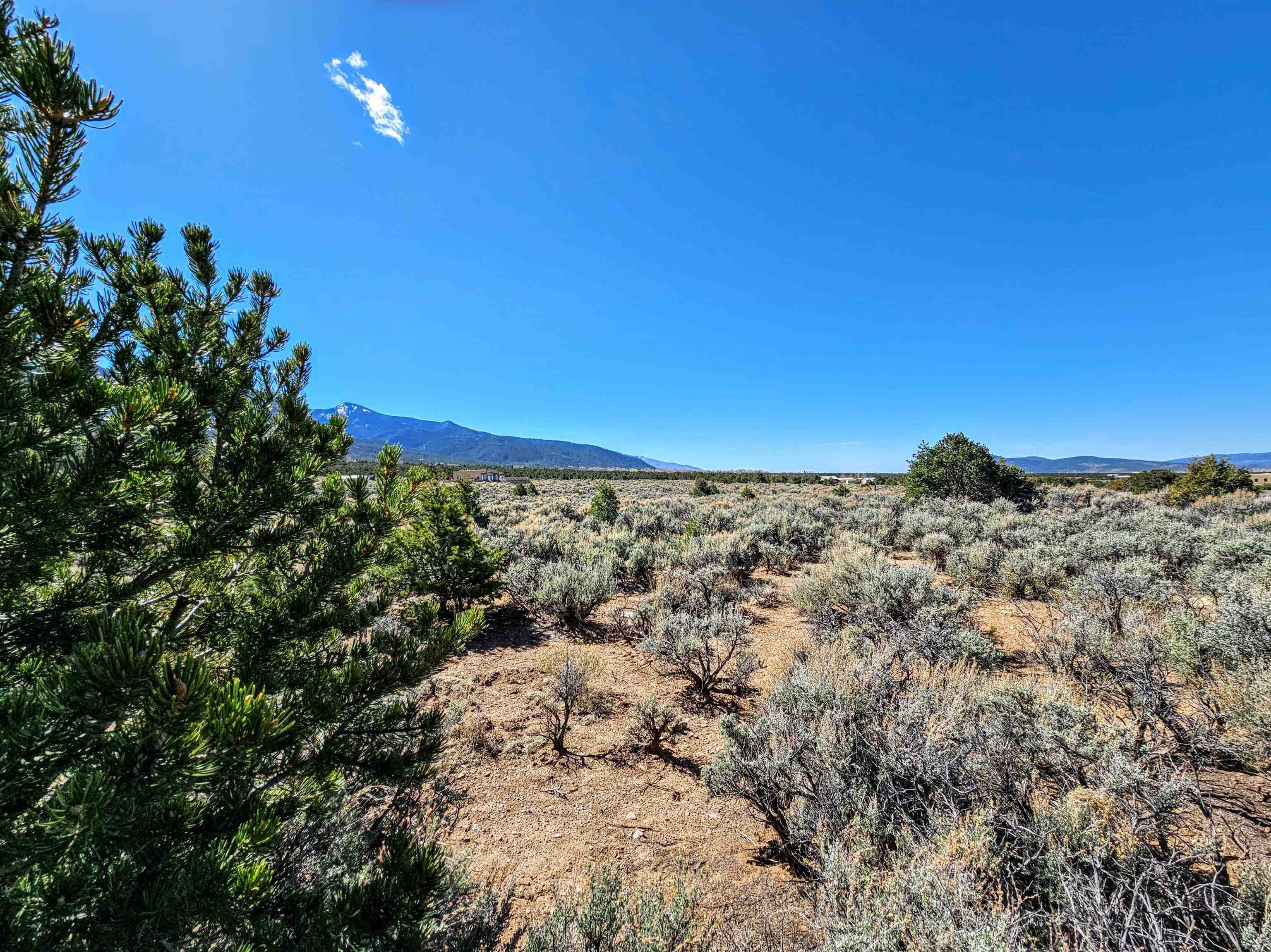Tract C Quintana Rd, Questa, New Mexico image 4