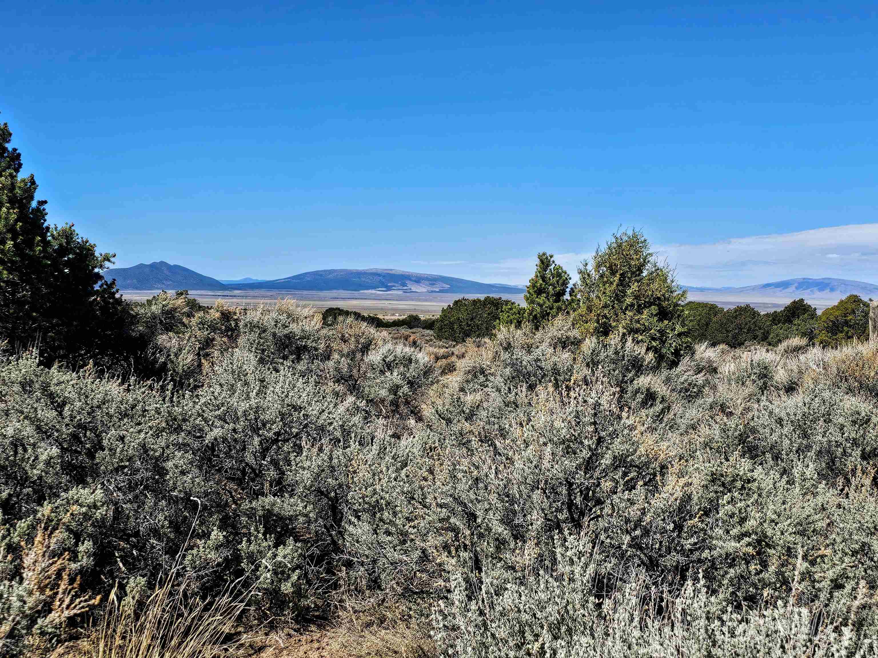Tract C Quintana Rd, Questa, New Mexico image 5