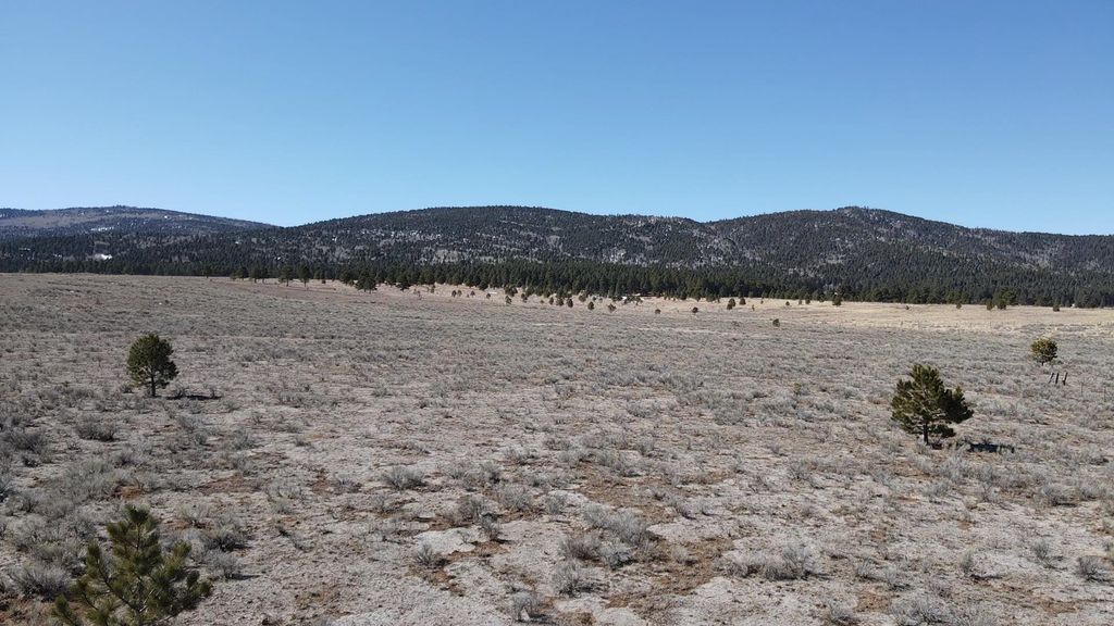 Photo of Tracts A B C D Hwy 434, Angel Fire, NM 87710 (MLS # 112914)