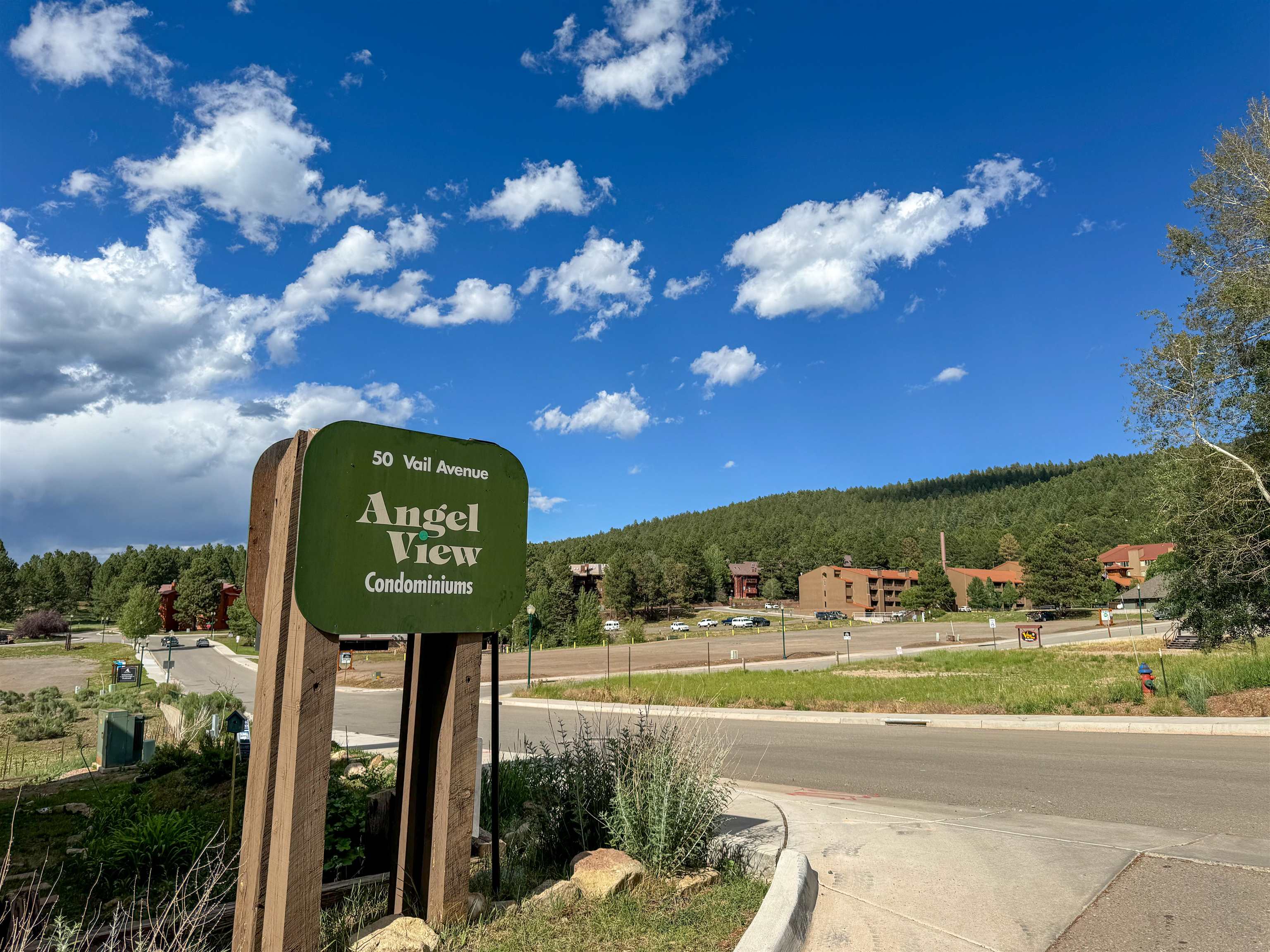 50 Vail Ave 4 1 #4-1, Angel Fire, New Mexico image 3