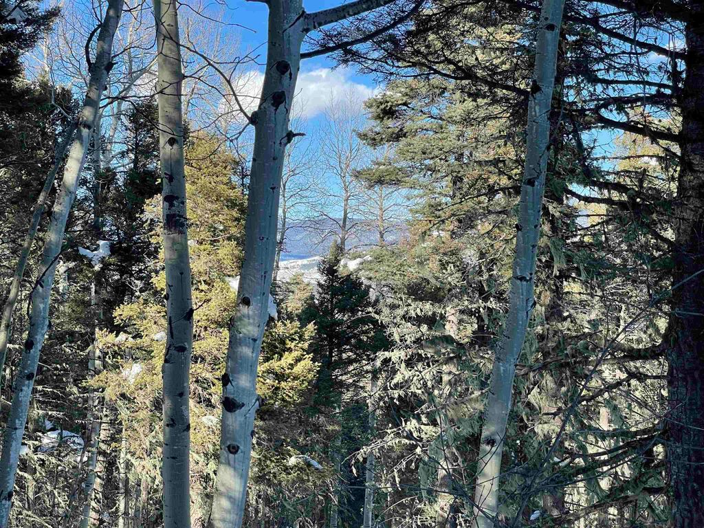 Photo of Lot 330 Rio Arriba Drive, Angel Fire, NM 87710 (MLS # 109875)