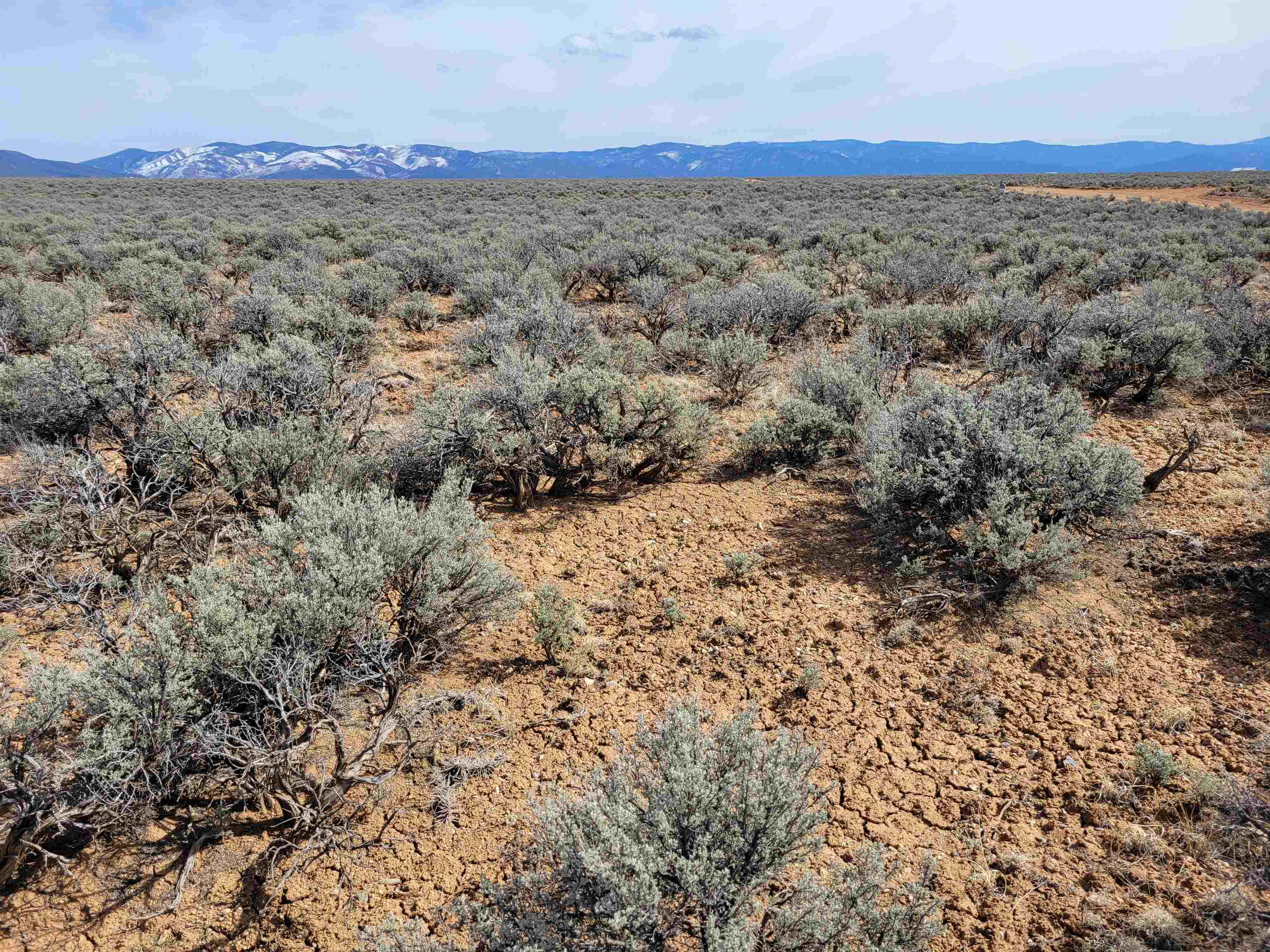 TBD East Of Quino Road, El Prado, New Mexico image 14