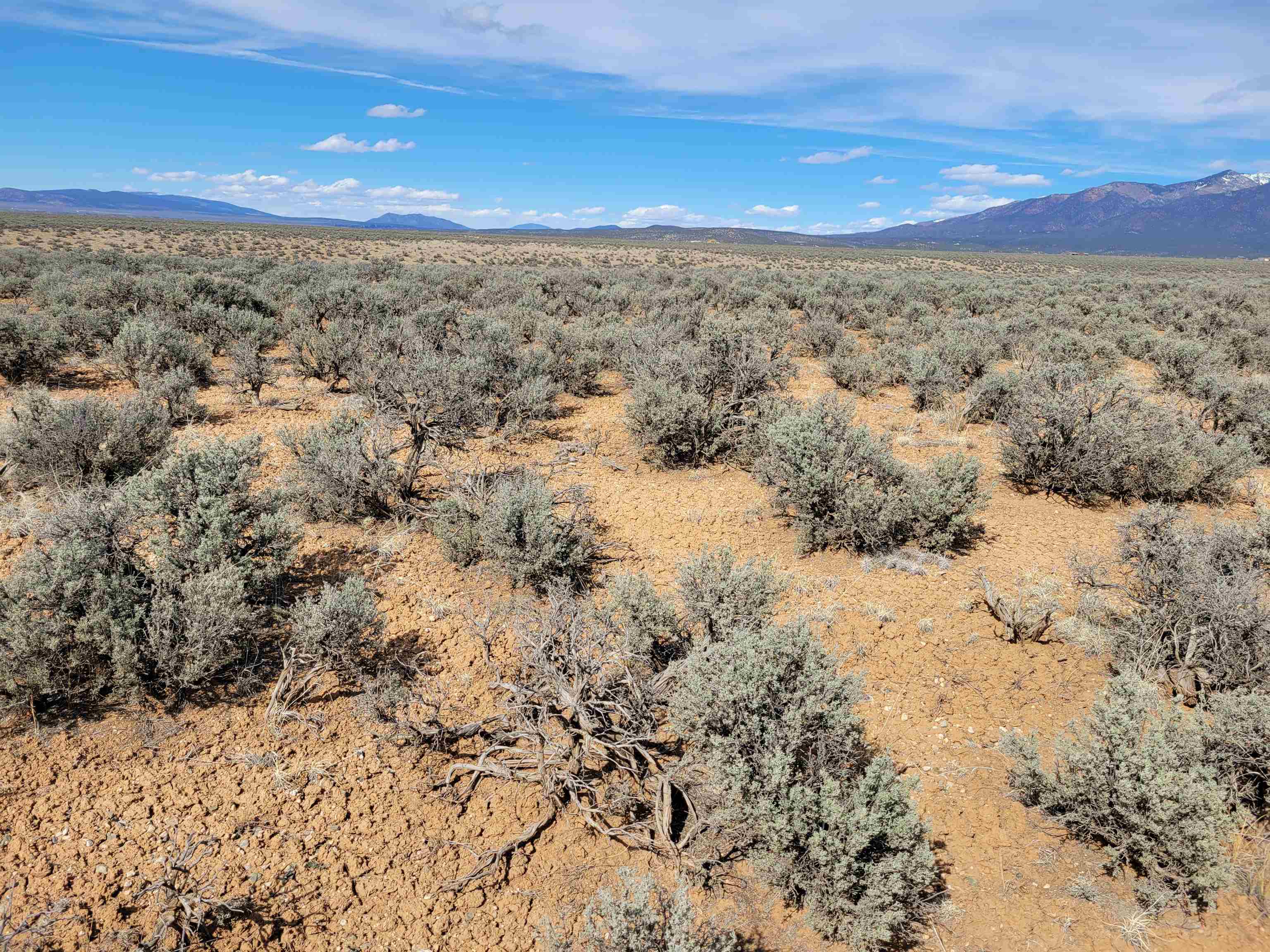 TBD East Of Quino Road, El Prado, New Mexico image 11