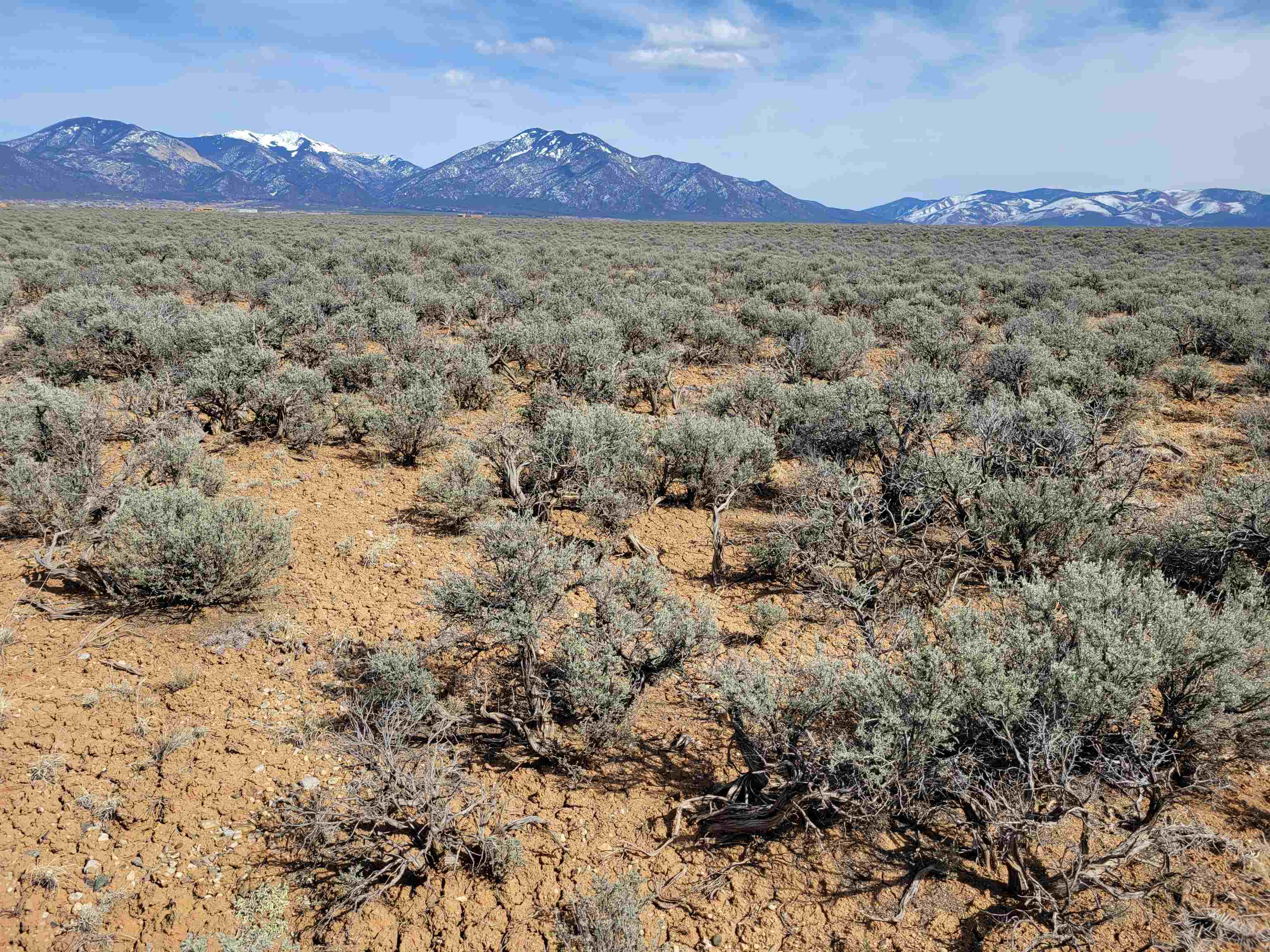 TBD East Of Quino Road, El Prado, New Mexico image 13