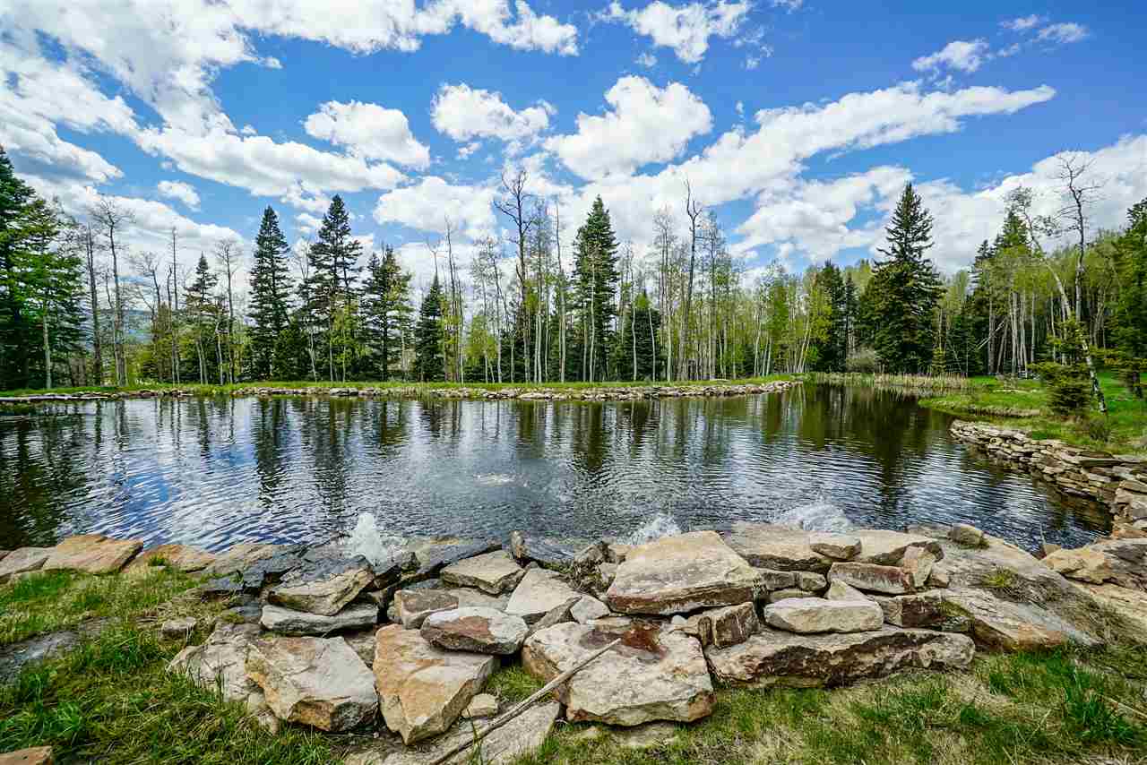 157 Mertz Place, Angel Fire, New Mexico image 18