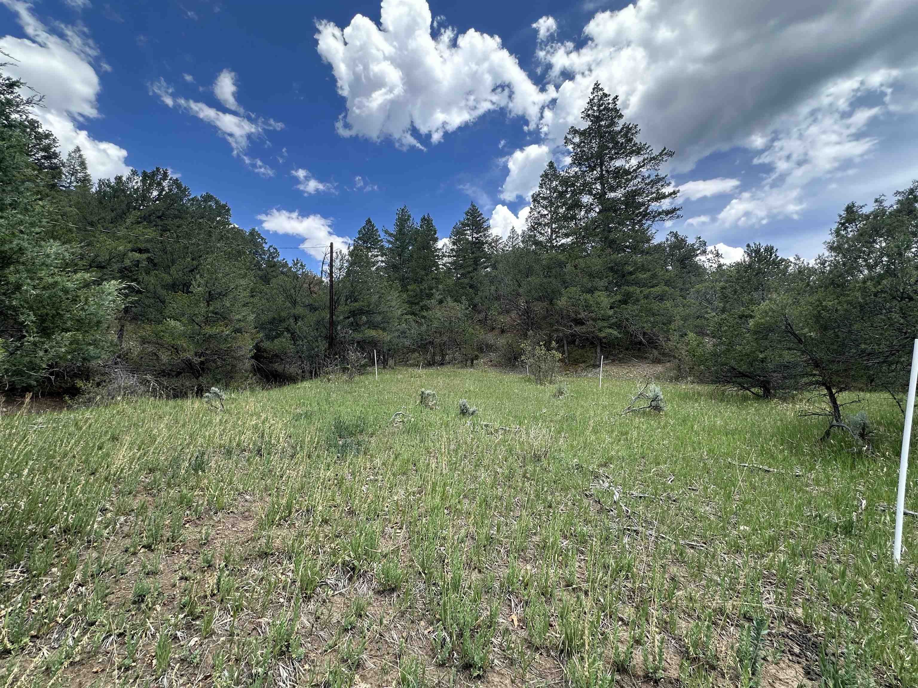 Off Us Highway 64, Taos, New Mexico image 3