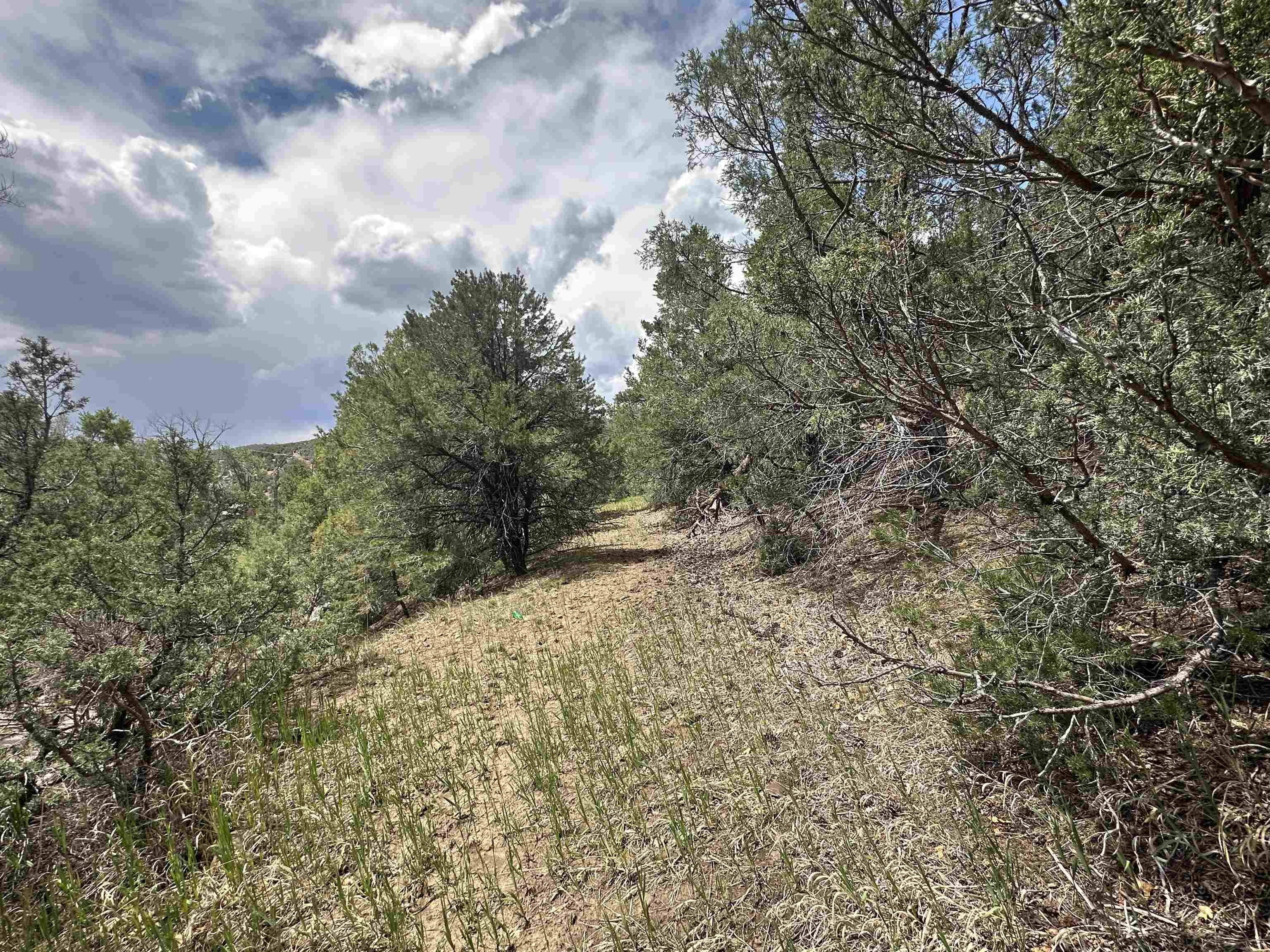 Off Us Highway 64, Taos, New Mexico image 8