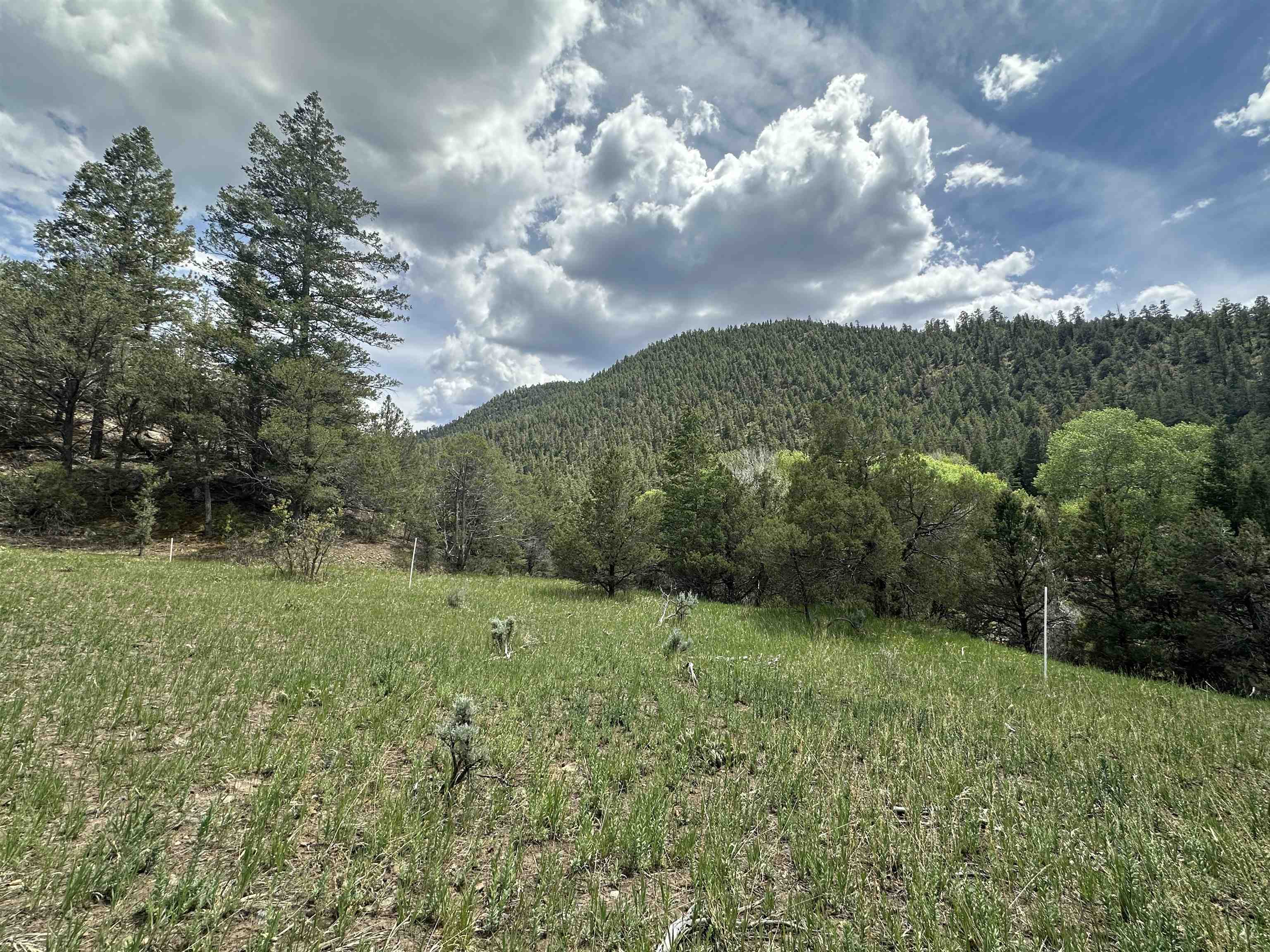 Off Us Highway 64, Taos, New Mexico image 1