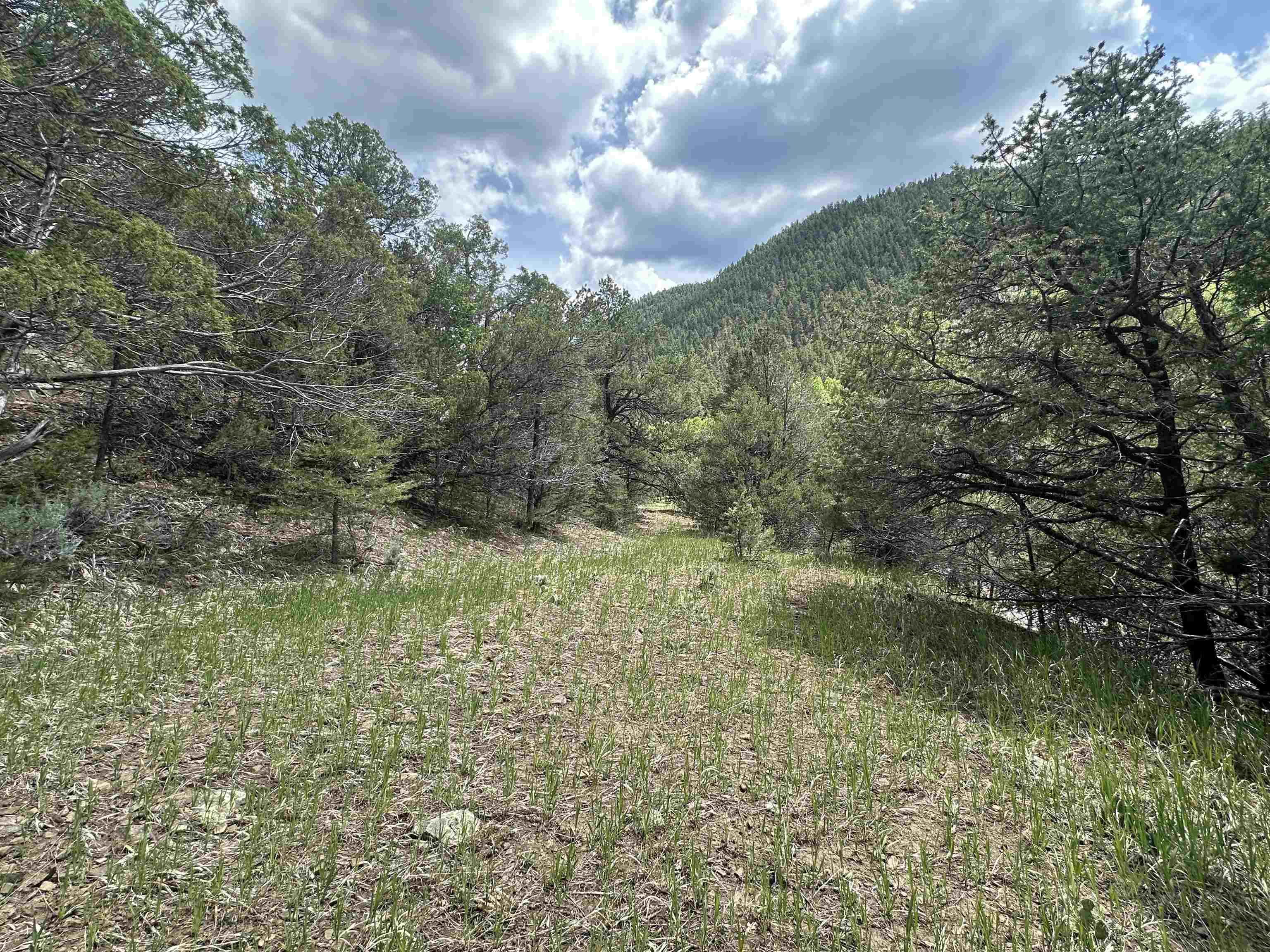 Off Us Highway 64, Taos, New Mexico image 7